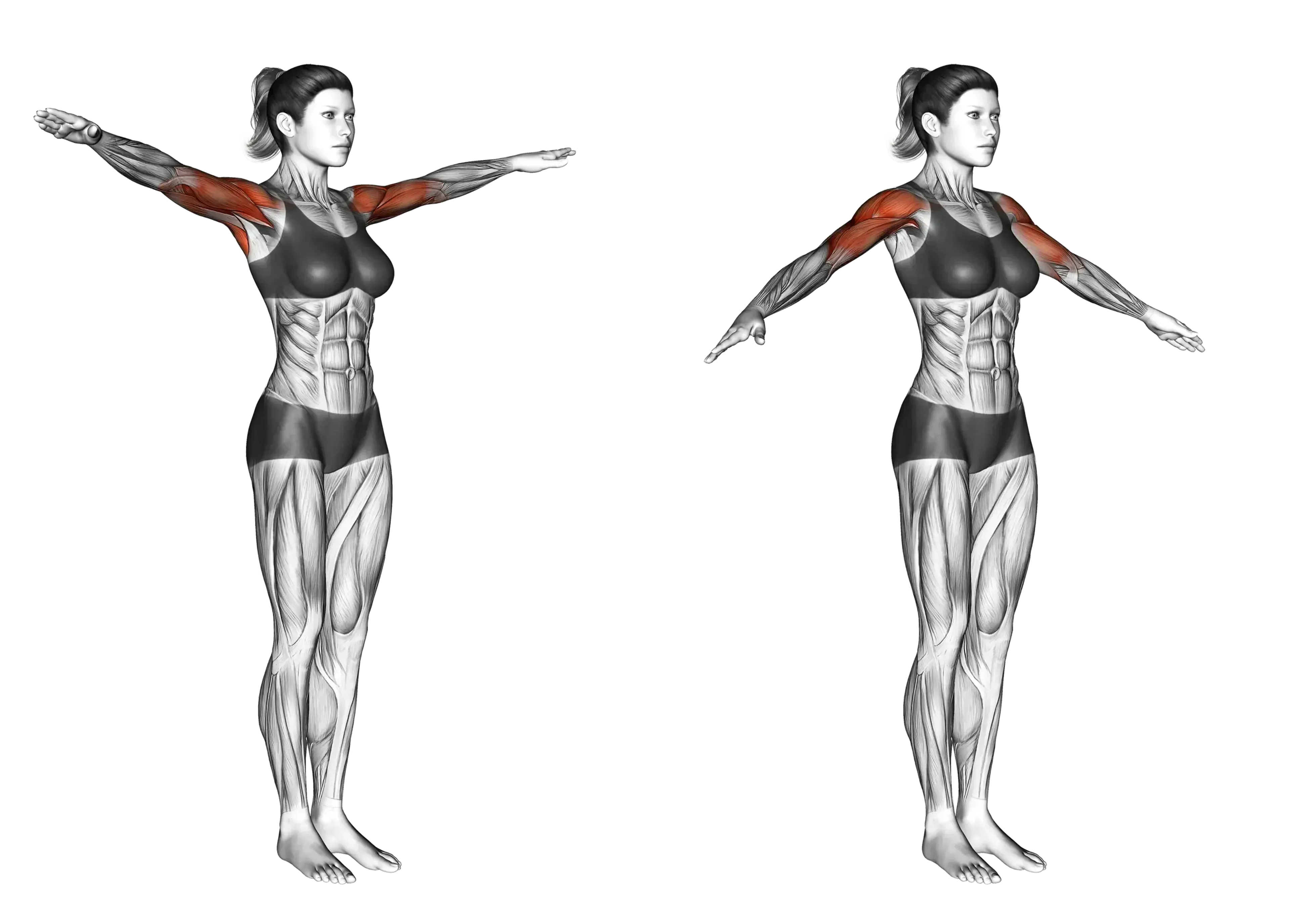 Arm Circles