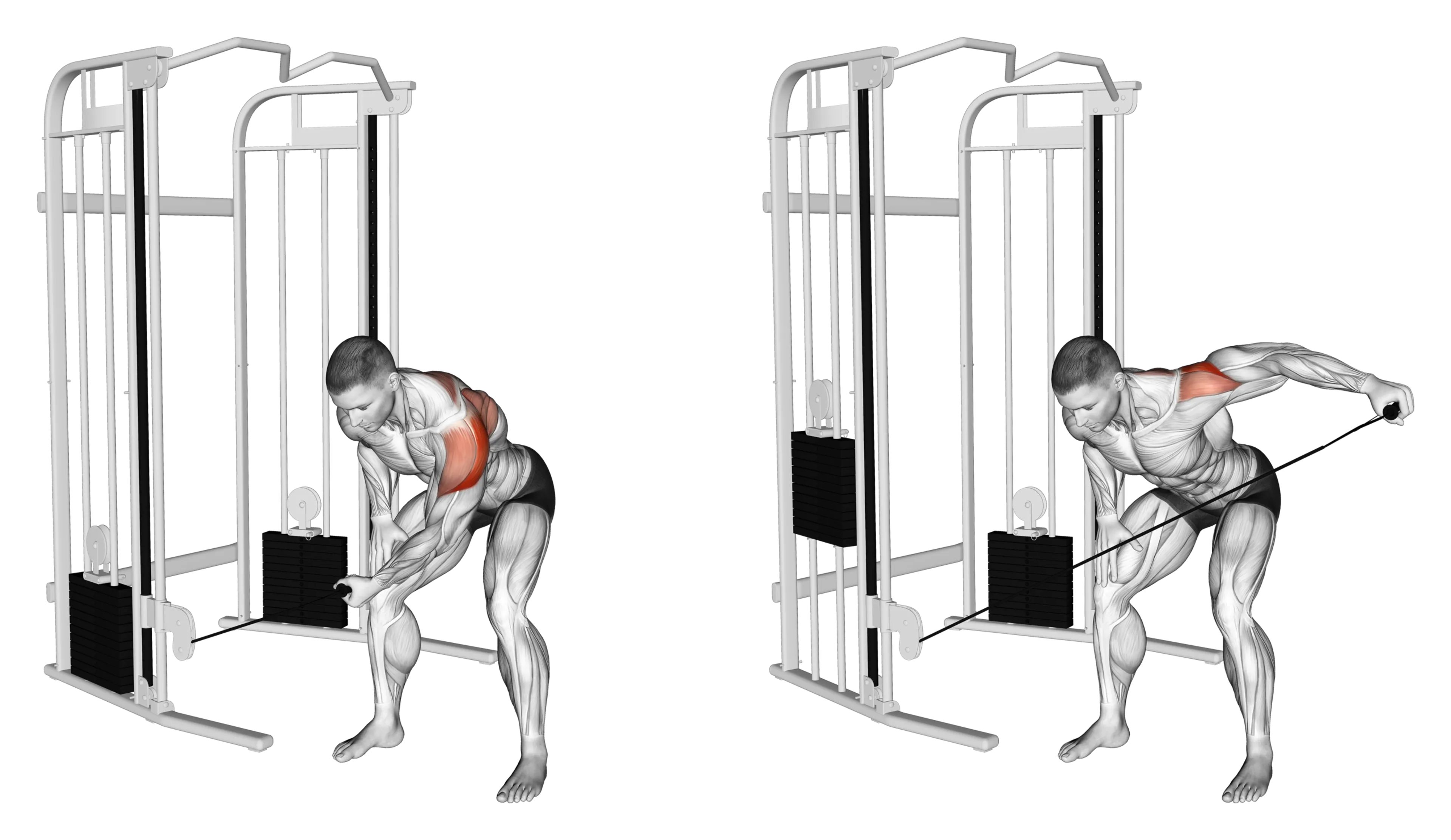 Cable Bent-Over Single-Arm Lateral Raise