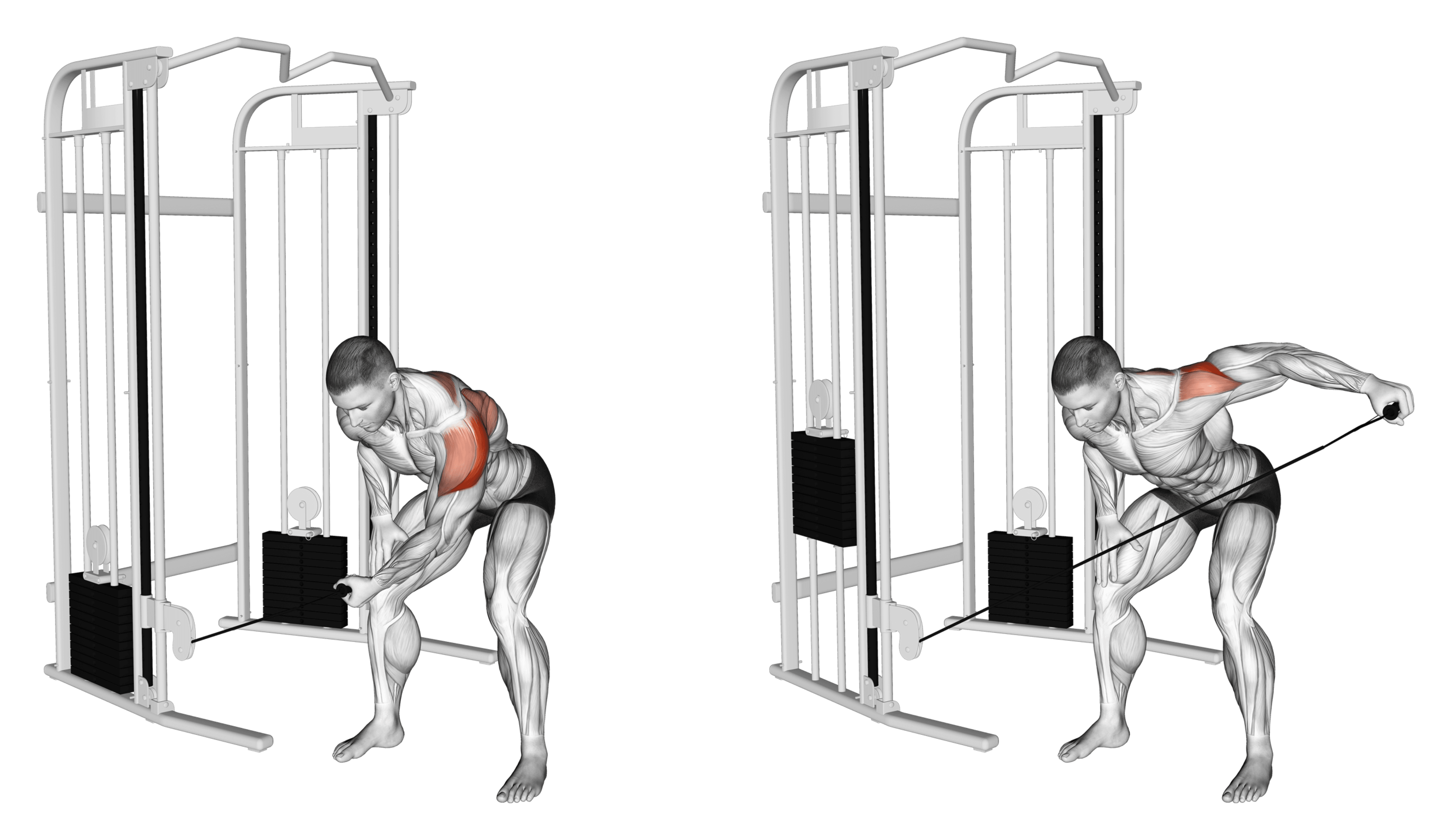 Cable Bent-Over Single-Arm Lateral Raise