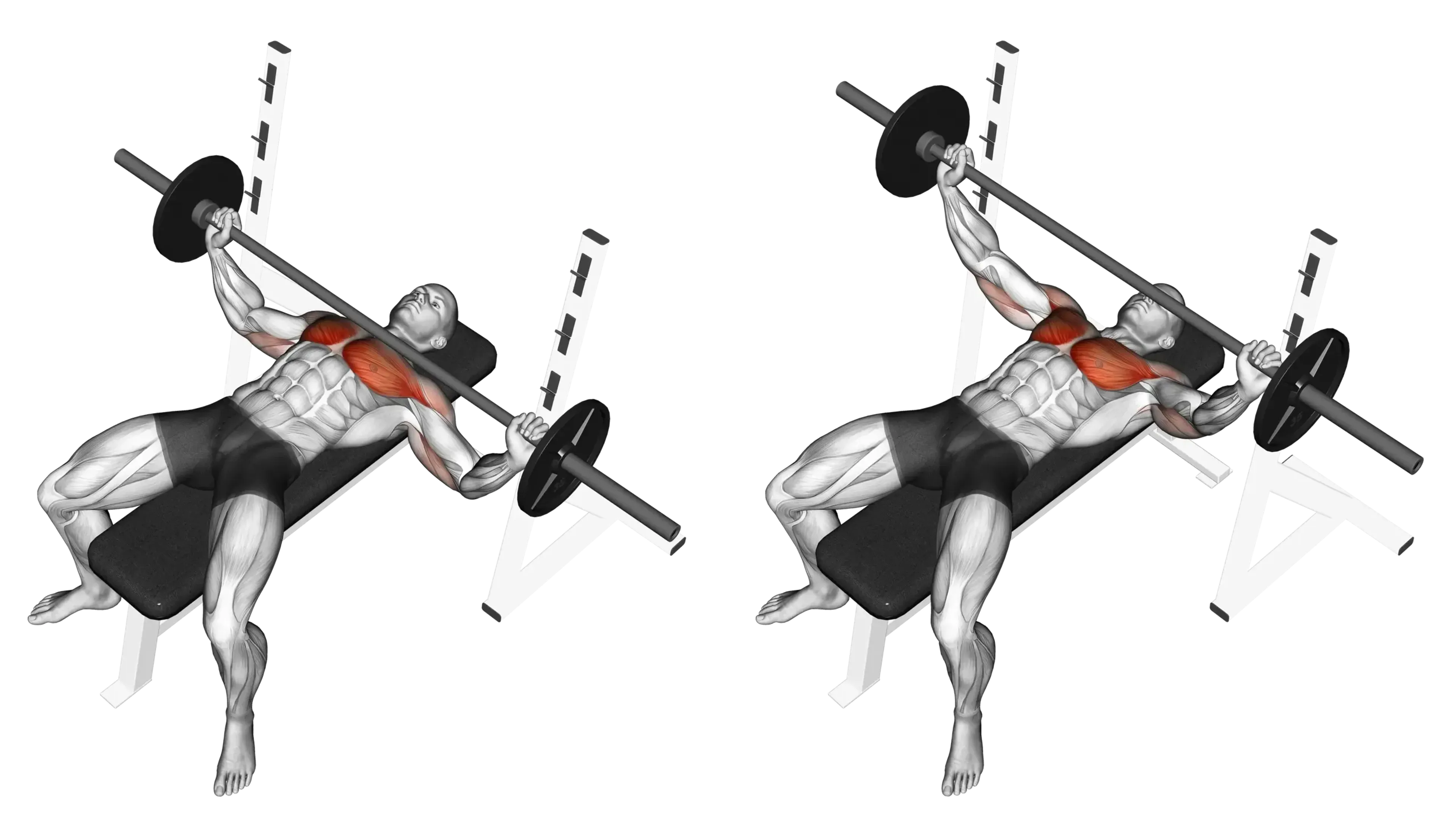 Barbell Bench Press (Wide Grip)