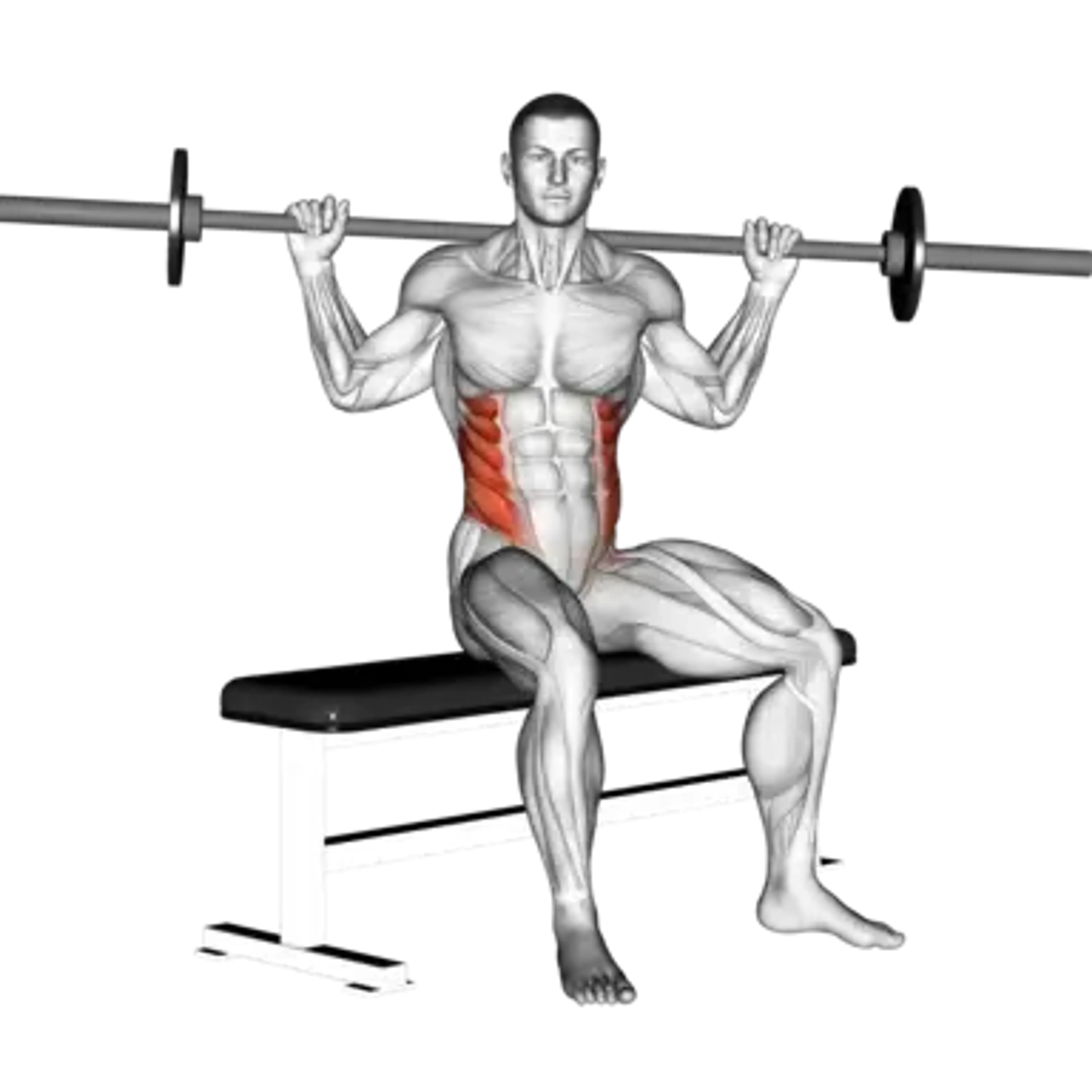 Barbell Seated Twist
