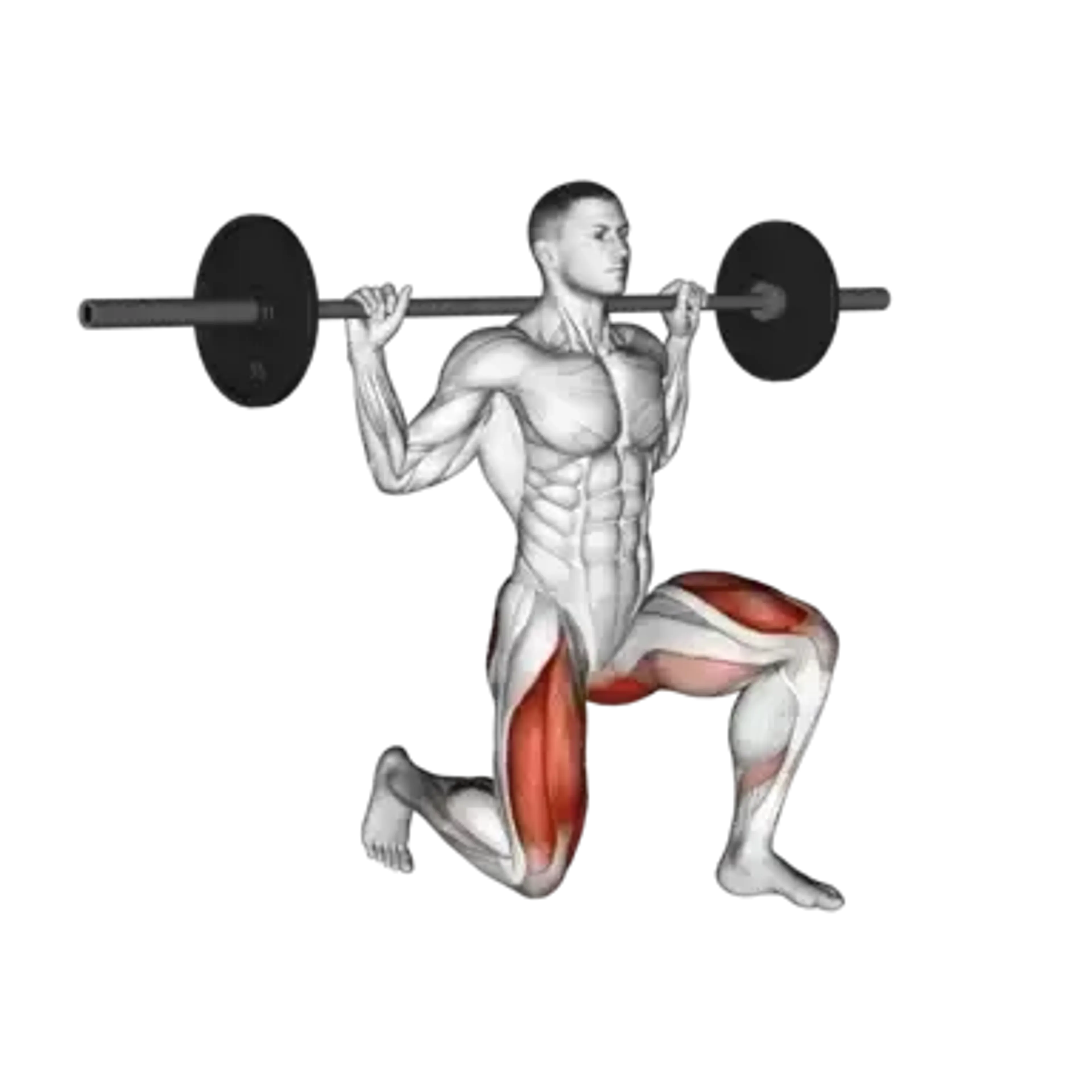 Barbell Lunge