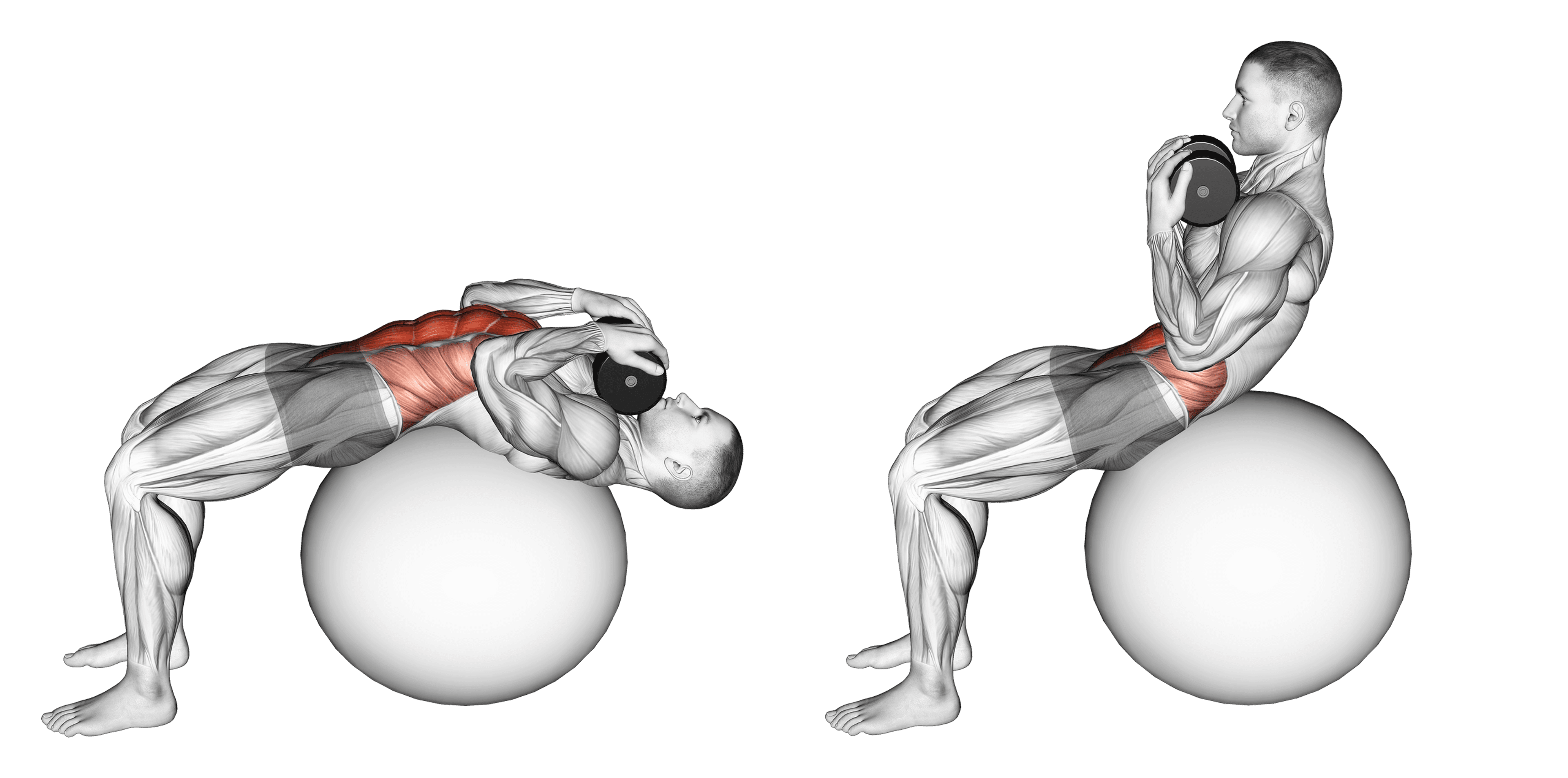 Weighted Exercise Ball Crunch Guide Muscles Worked Tips Athlemove Weighted Exercise Ball Crunch Guide Muscles Worked Tips Athlemove