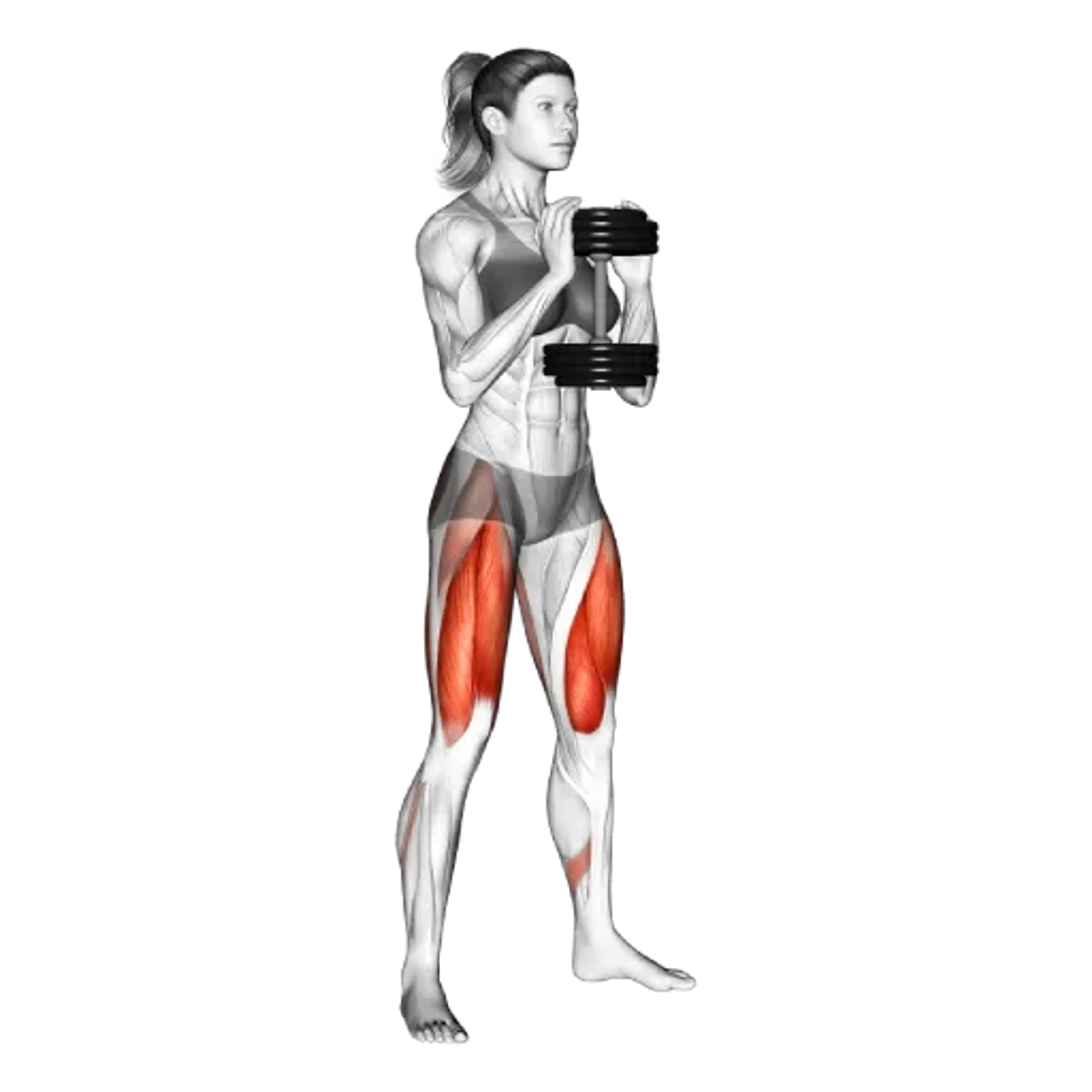 Dumbbell Squat