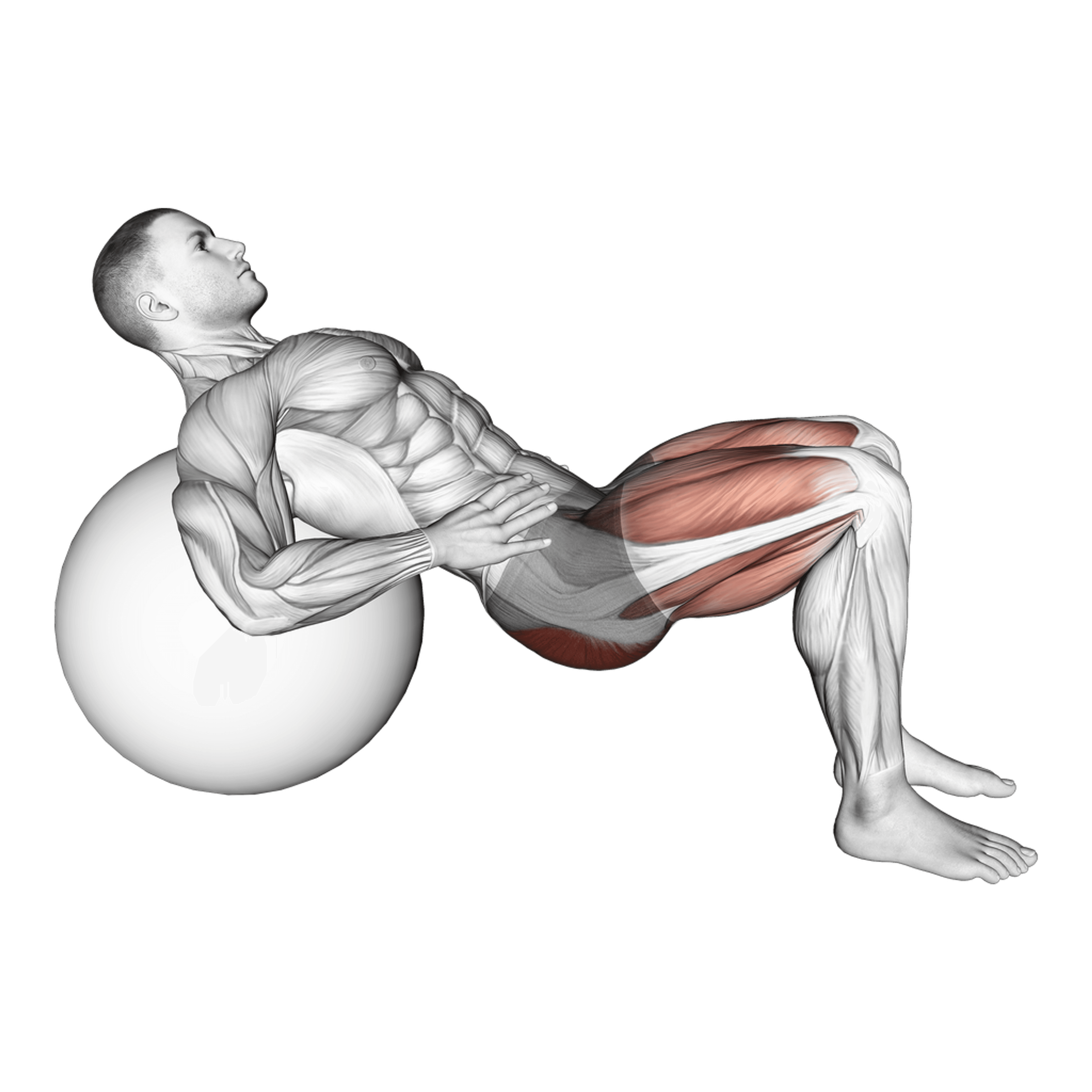 Exercise Ball Lying Hip Lift
