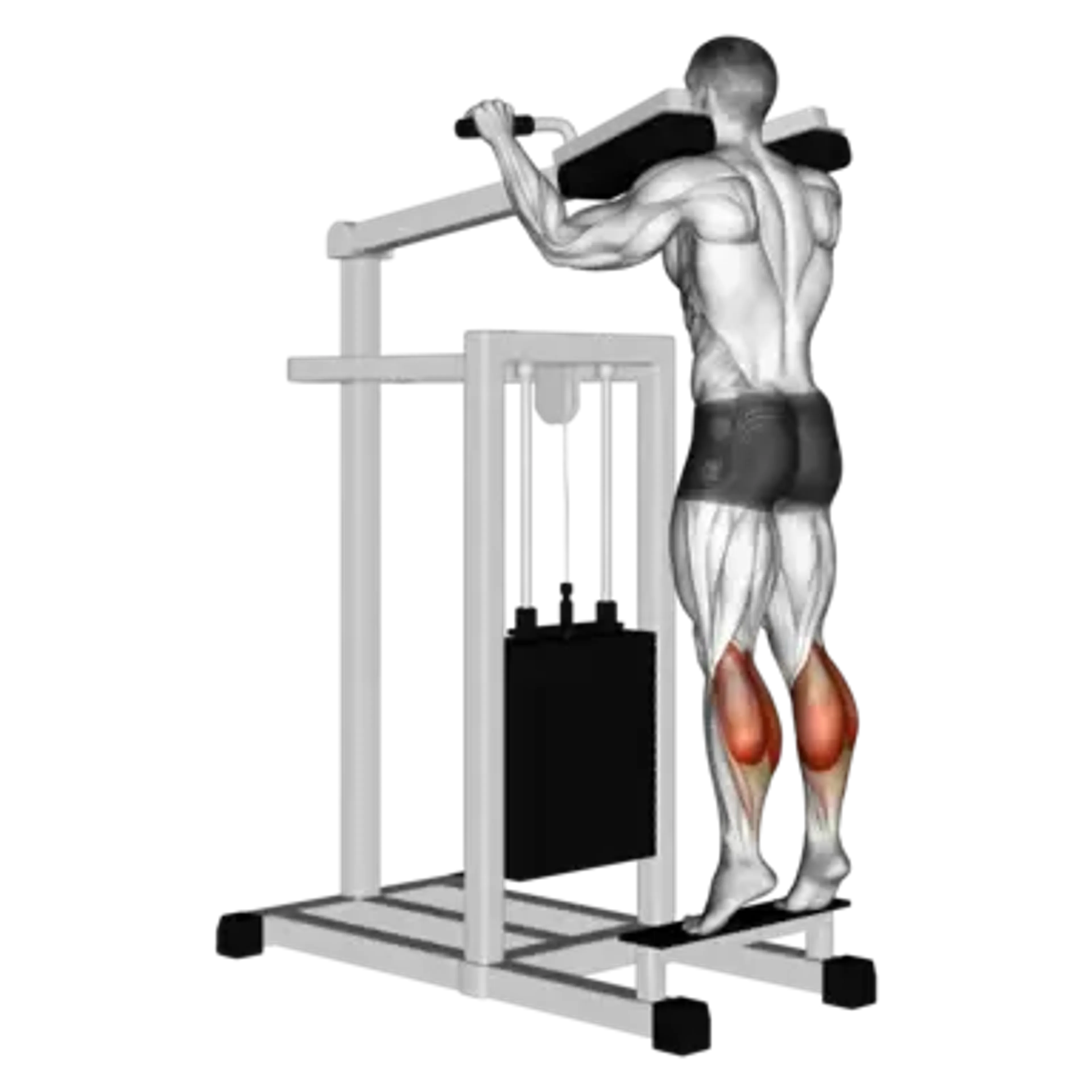 Machine Standing Calf Raise