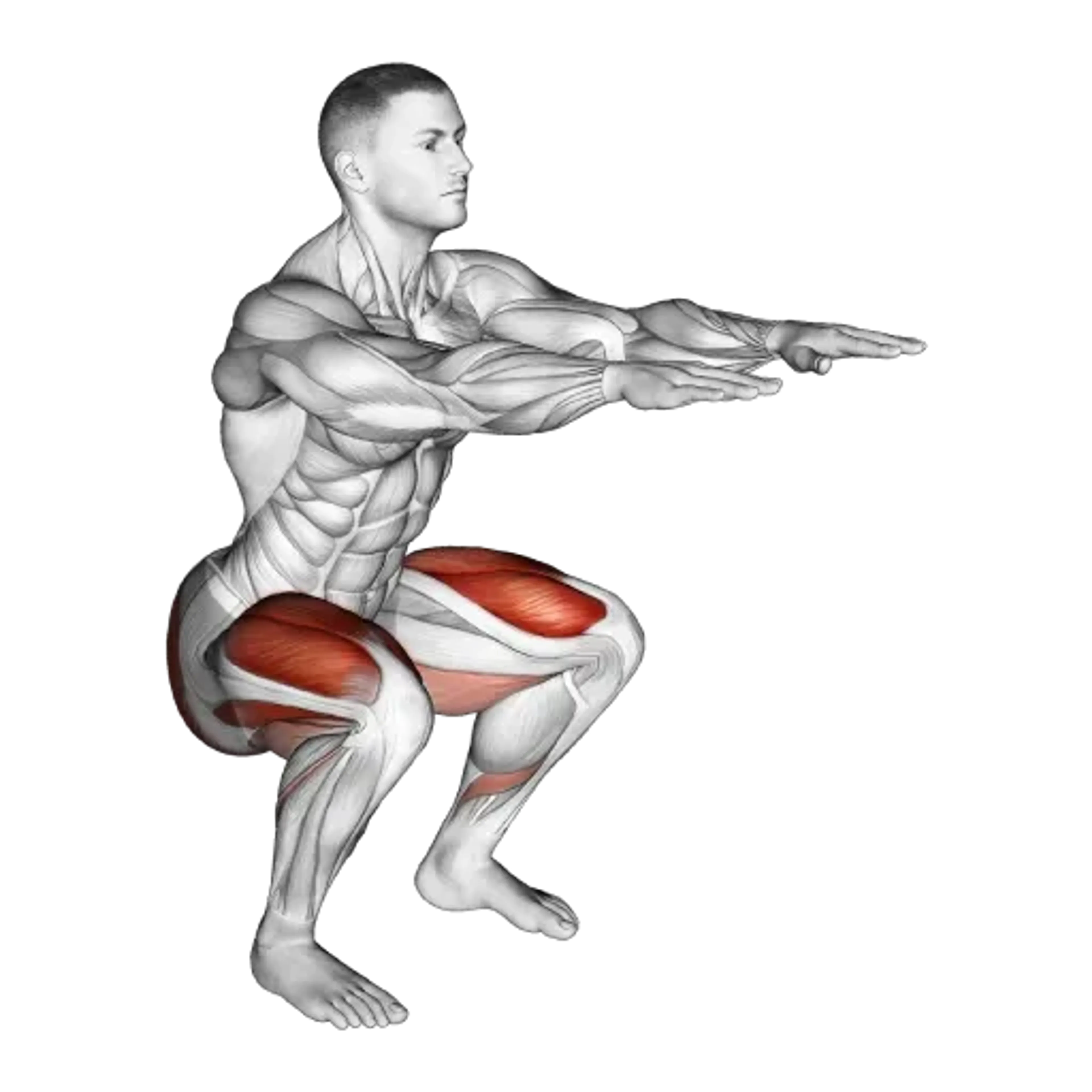 Bodyweight Squat