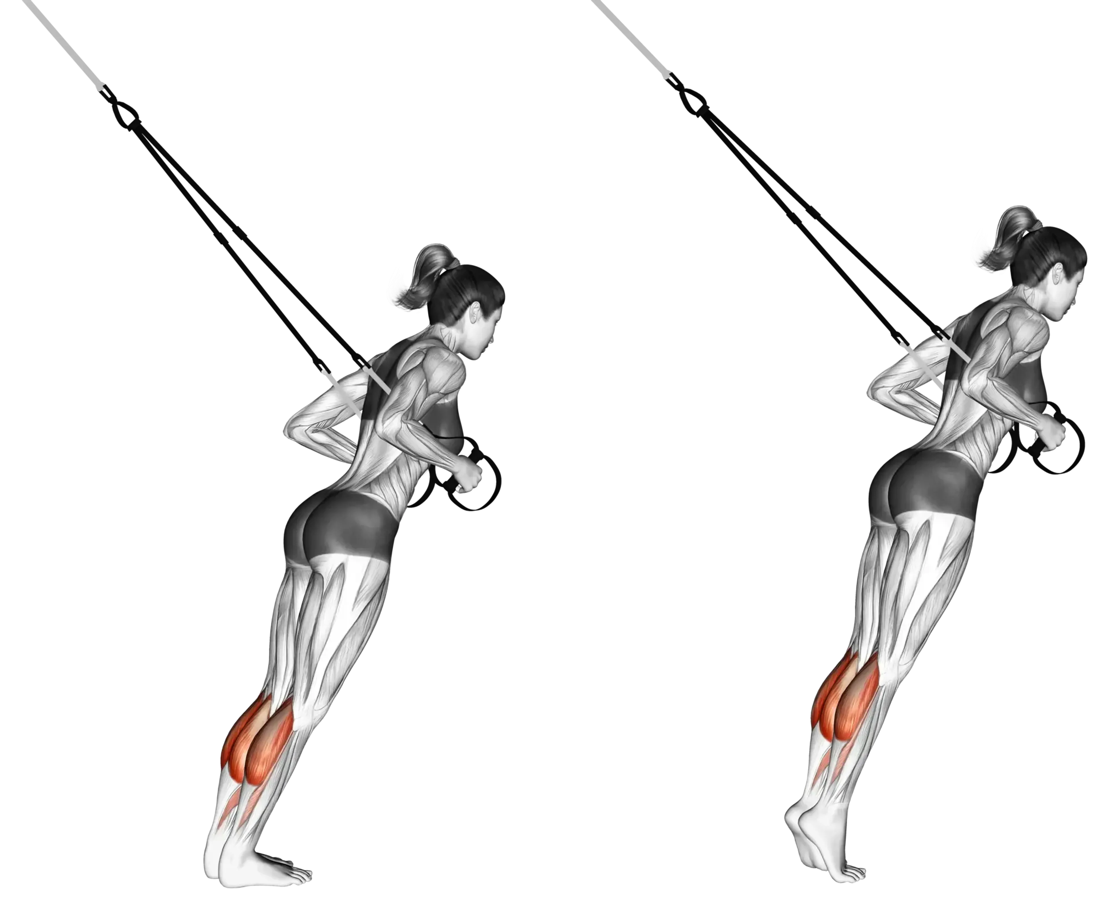 TRX Calf Raise
