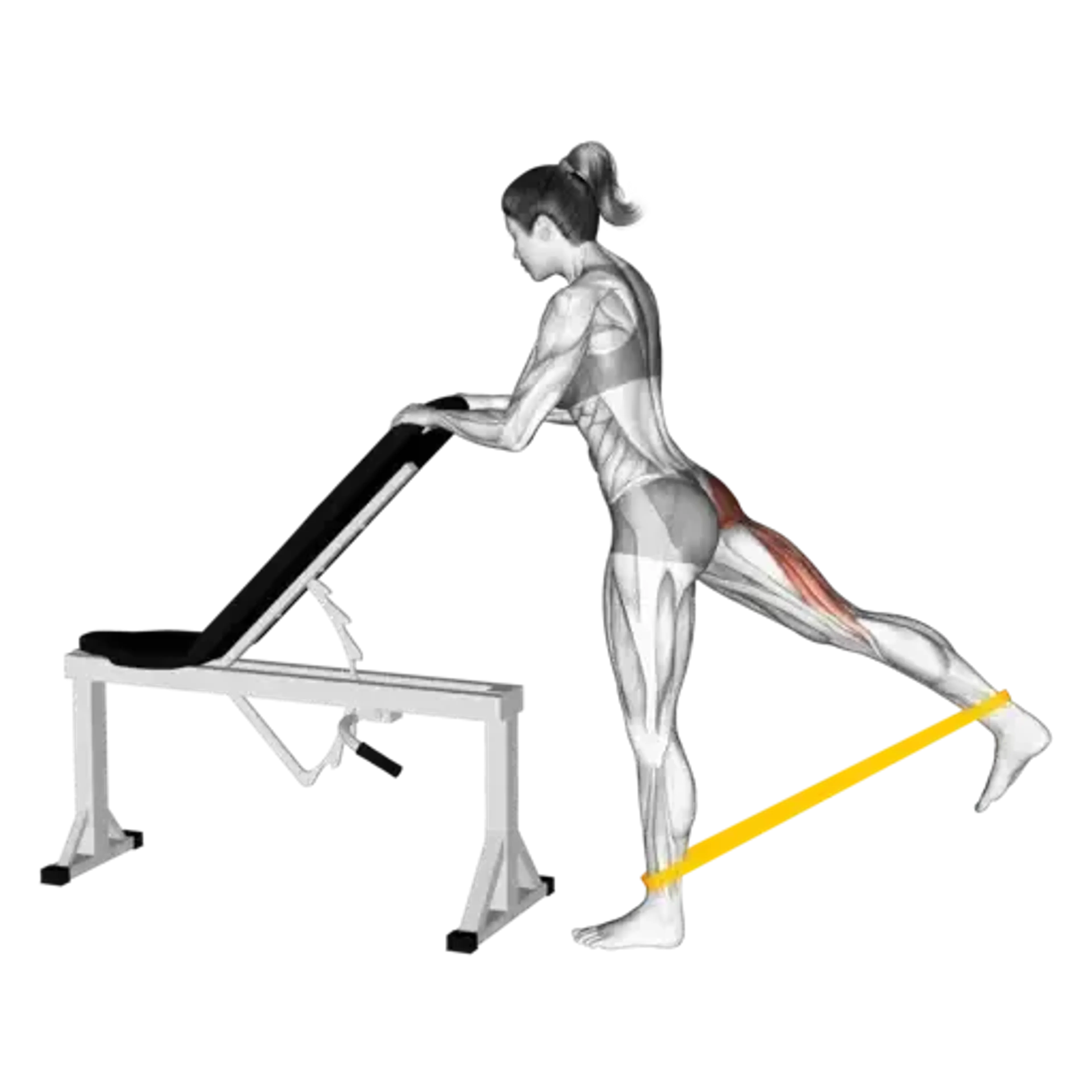 Band Single-Leg Kickback