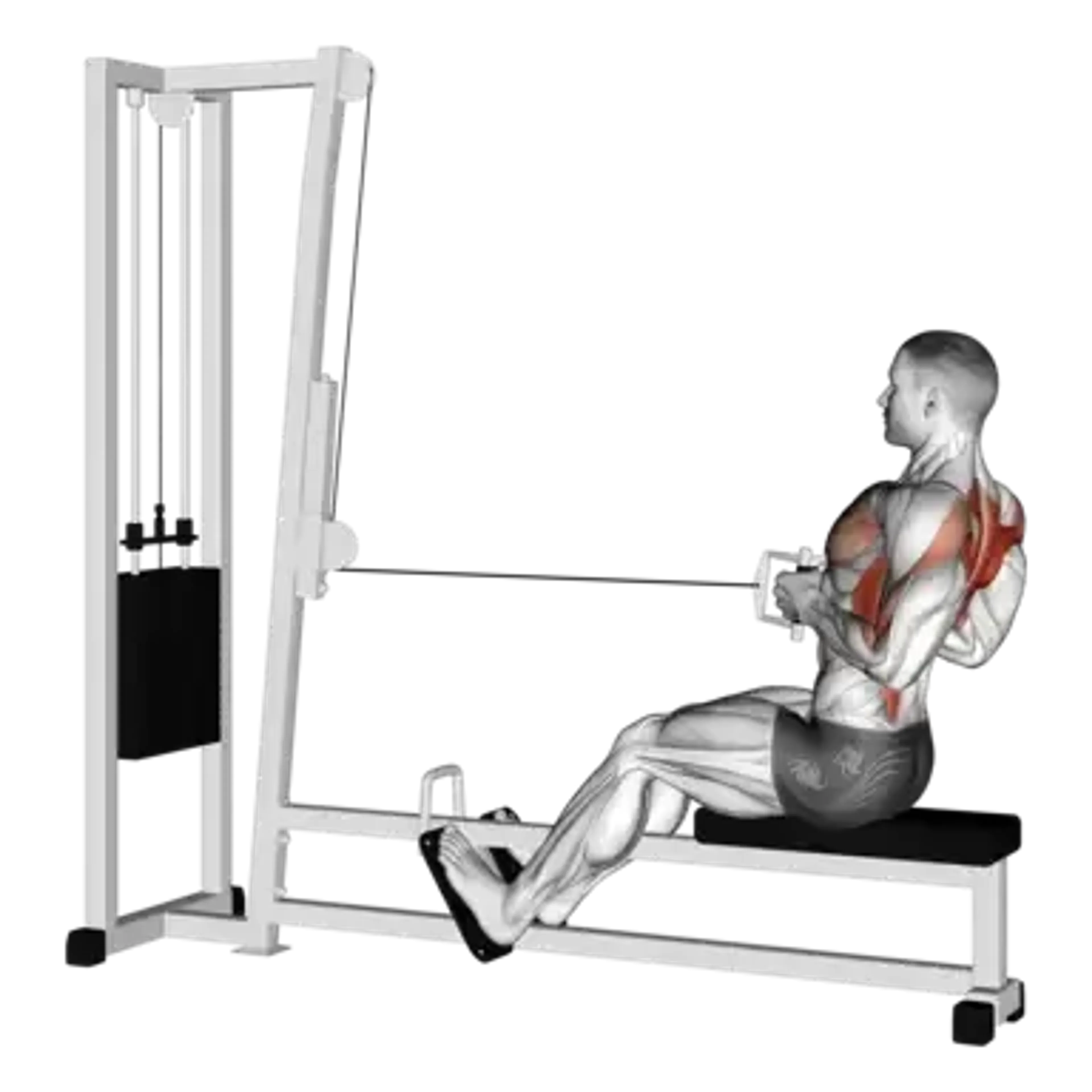 Cable Seated Row