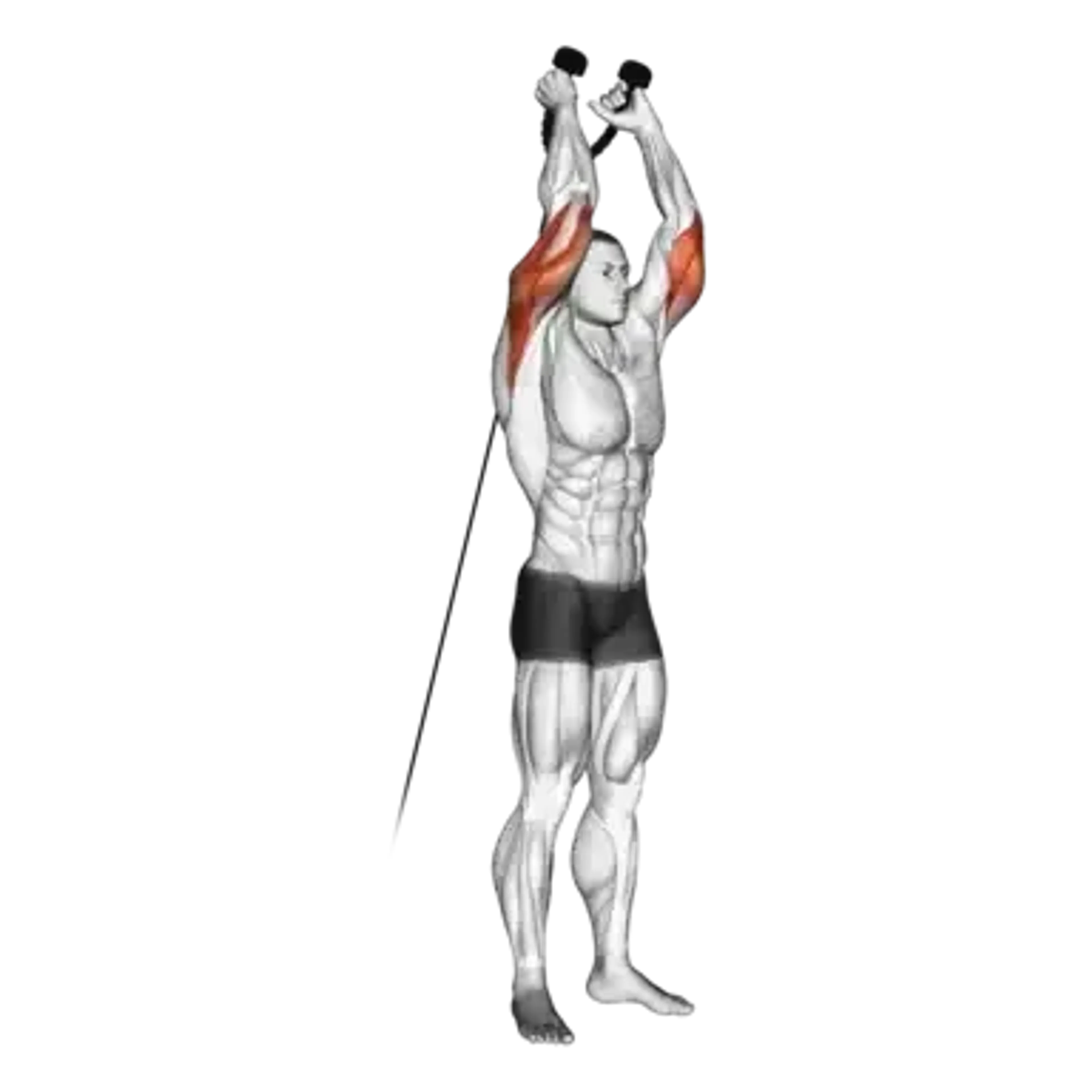 Cable Overhead Triceps Extension