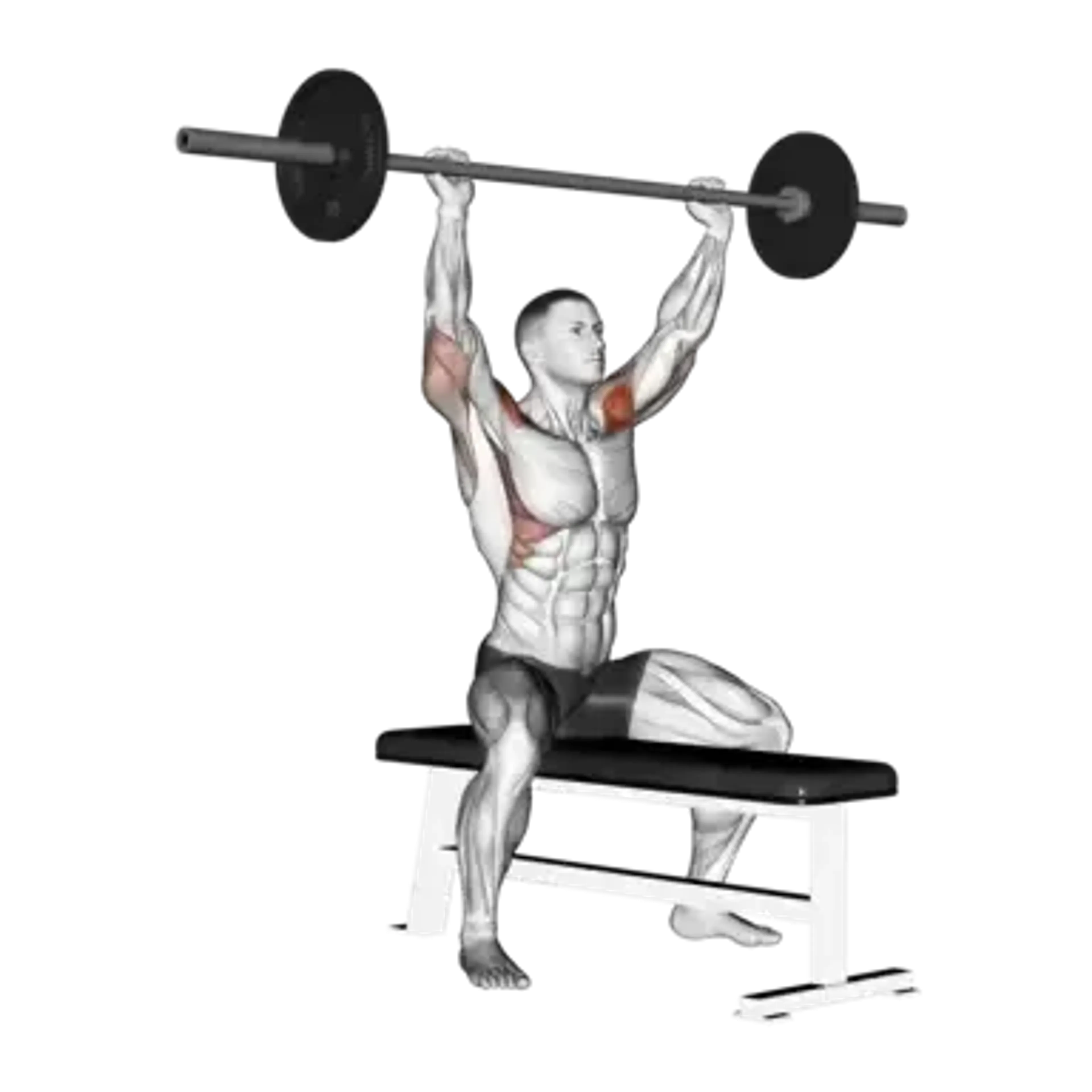 Seated Barbell Shoulder Press