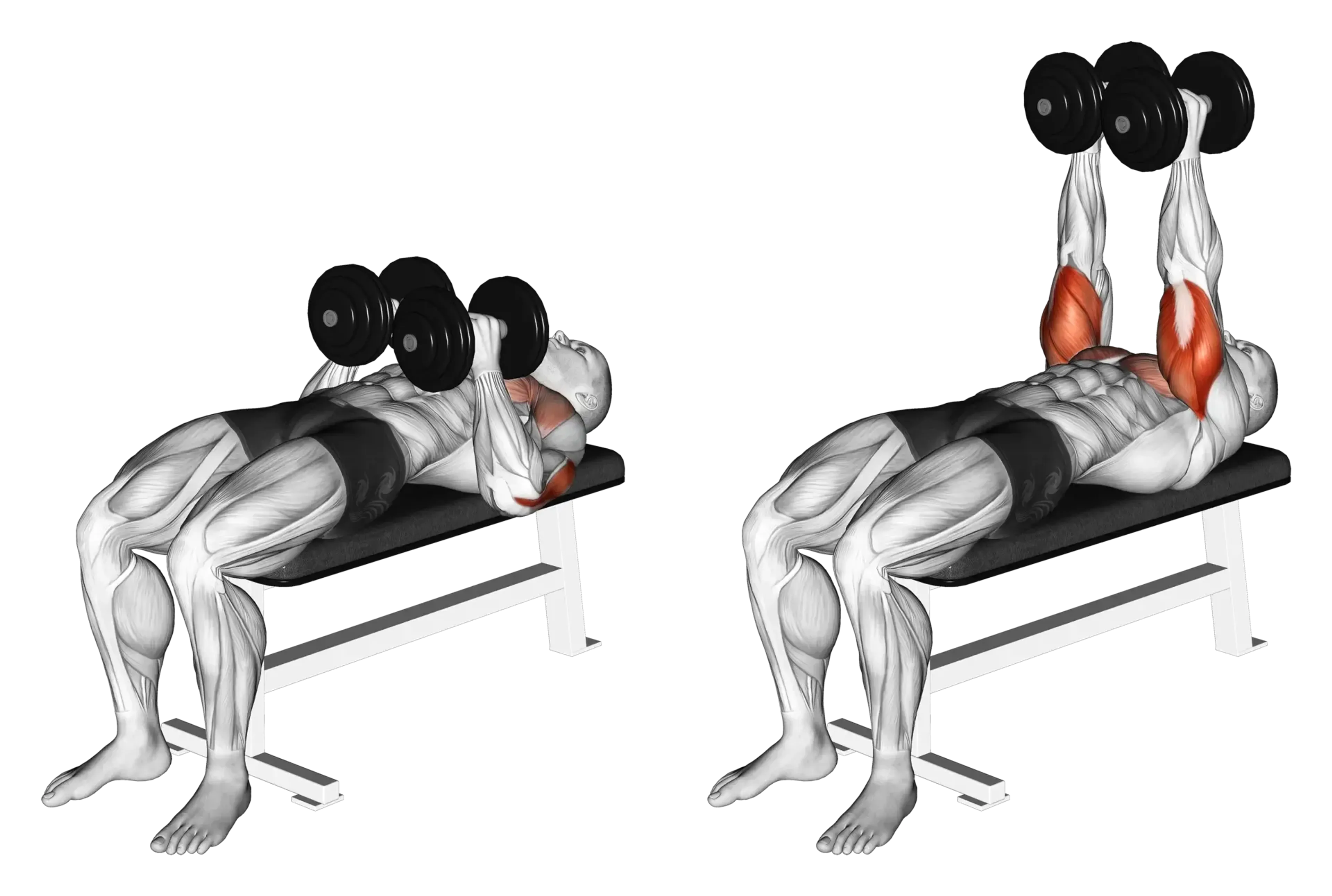 Dumbbell Press (Close Grip)