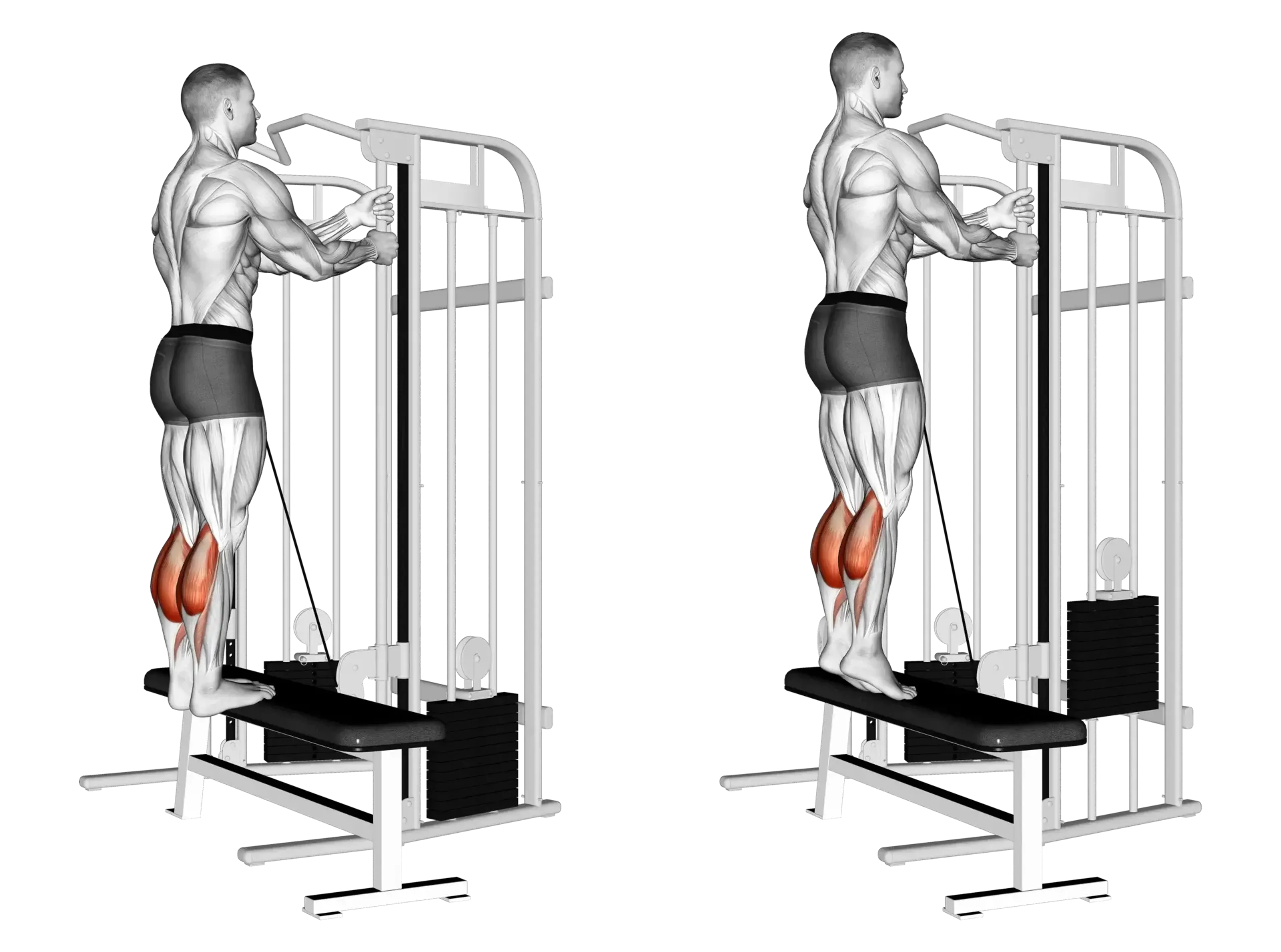 Cable Calf Raise