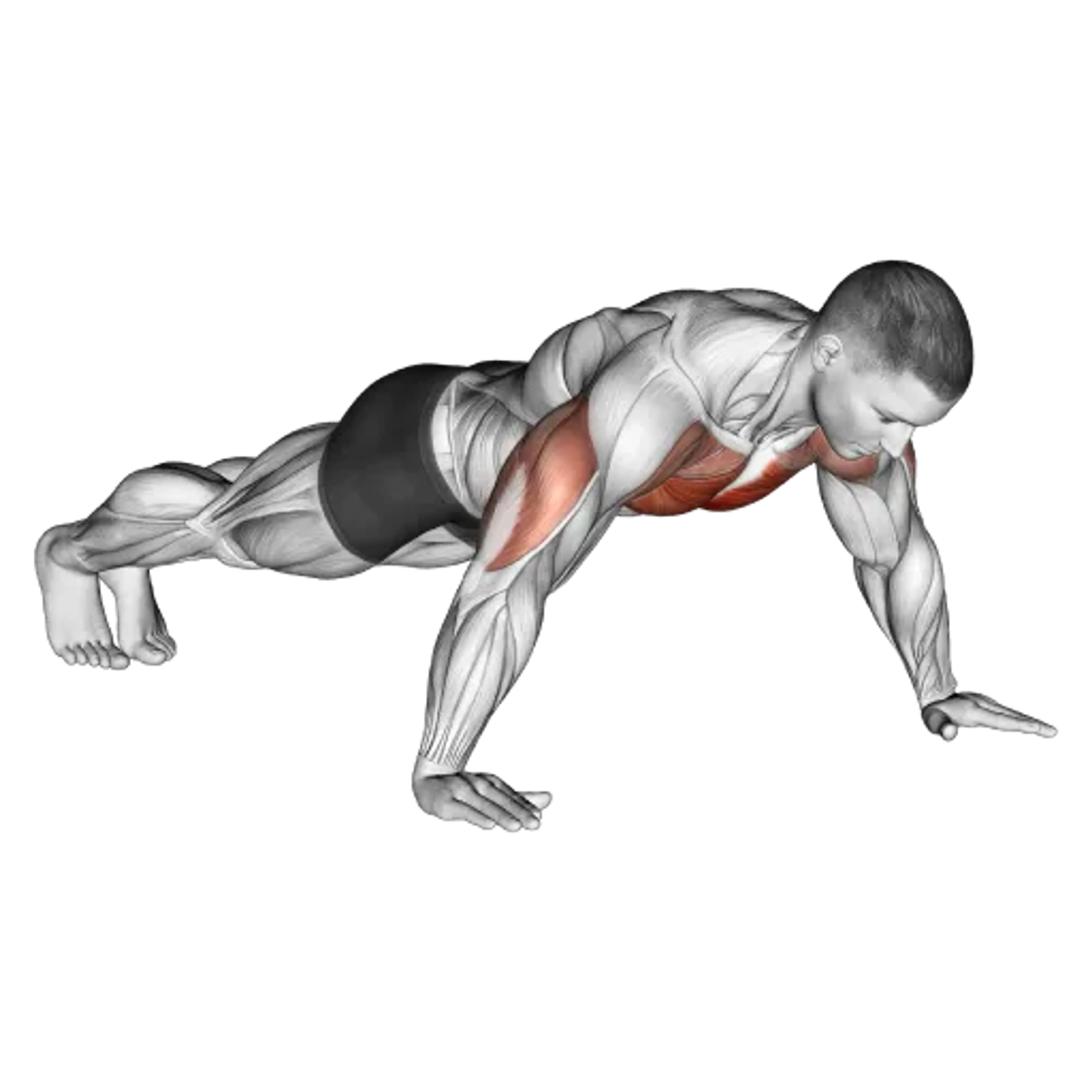 Wide Hand Push-Up