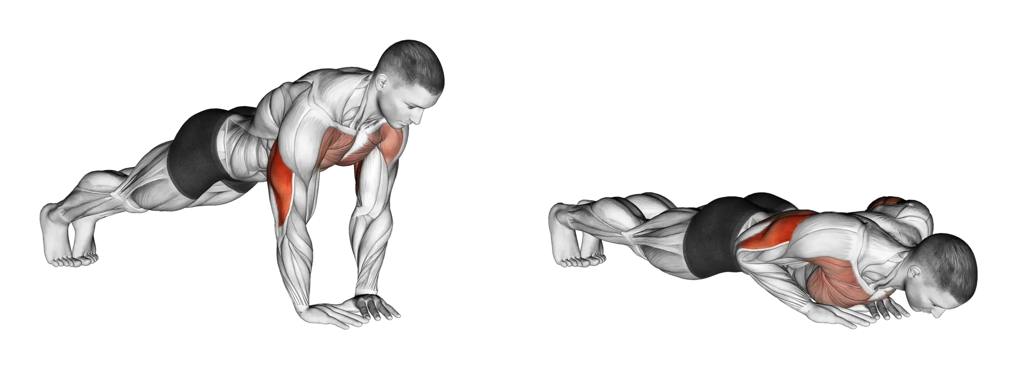 Diamond Push-Up