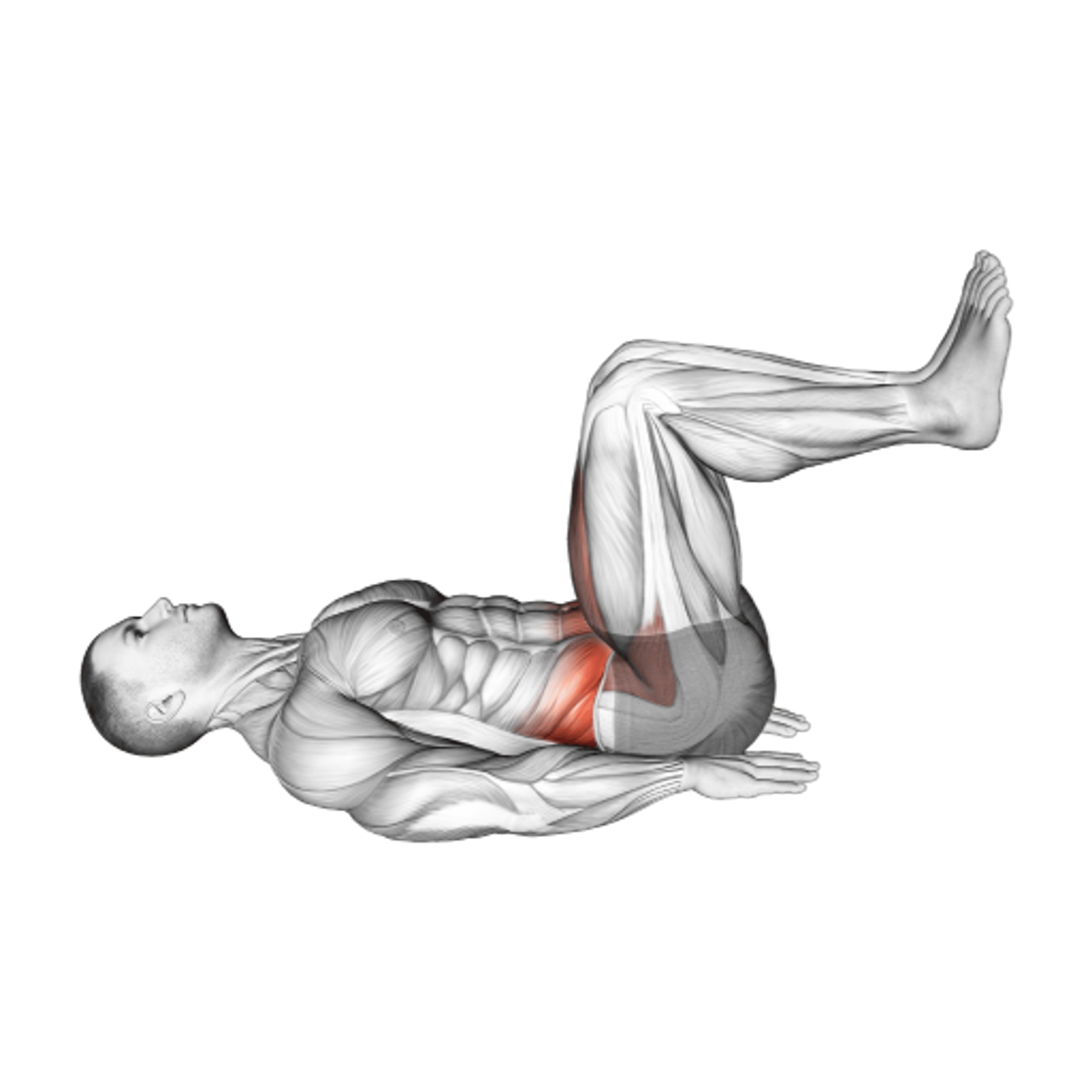 Lying Knee Raise