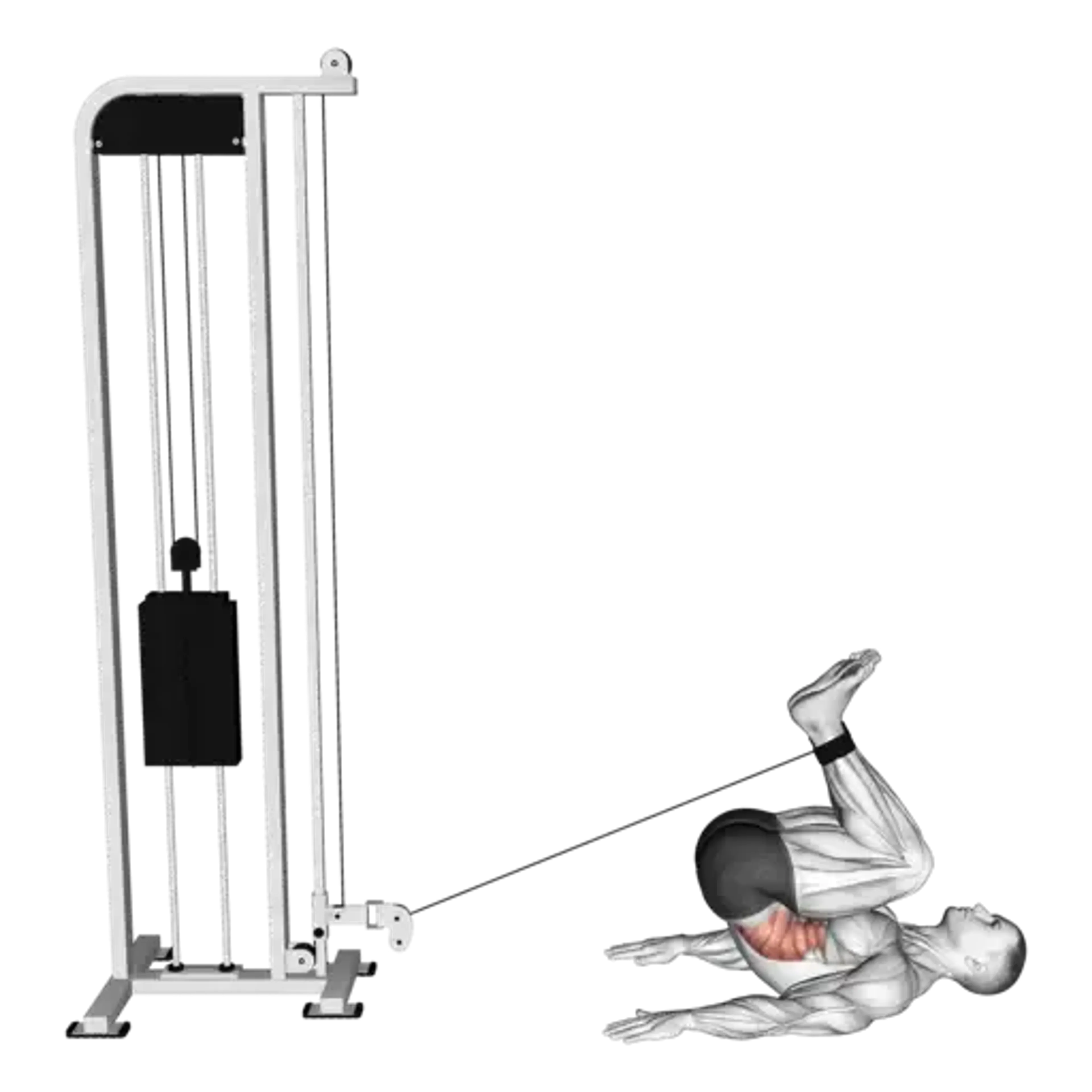 Cable Reverse Crunch