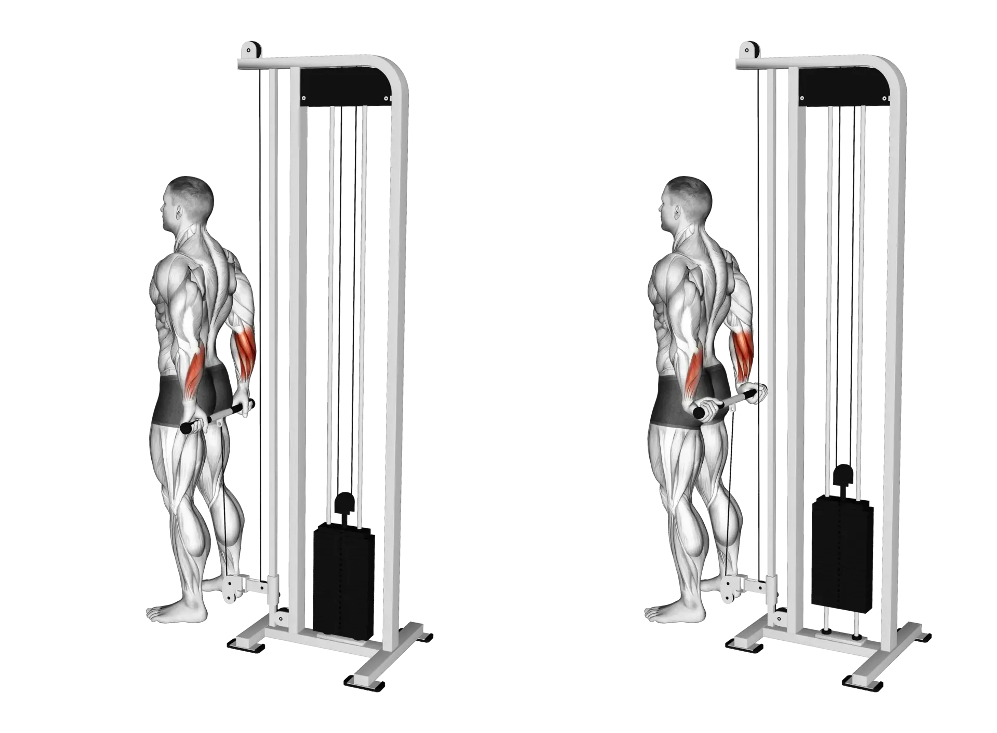 Behind the Back Cable Wrist Curls