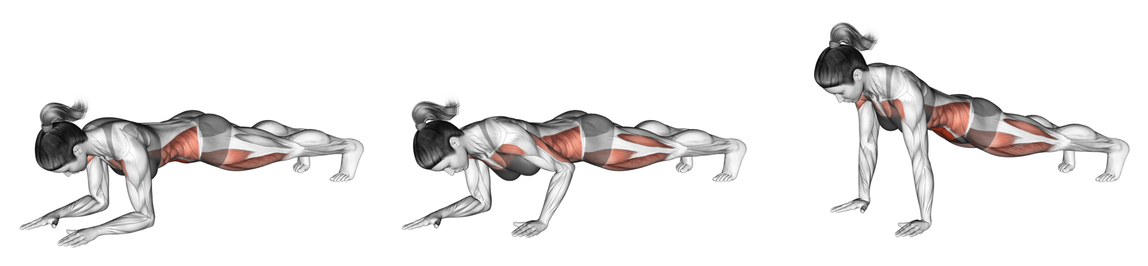 Plank to Push-Up