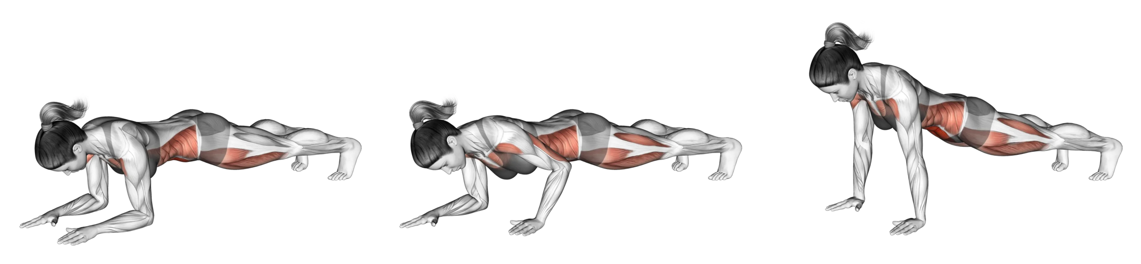 Plank to Push-Up
