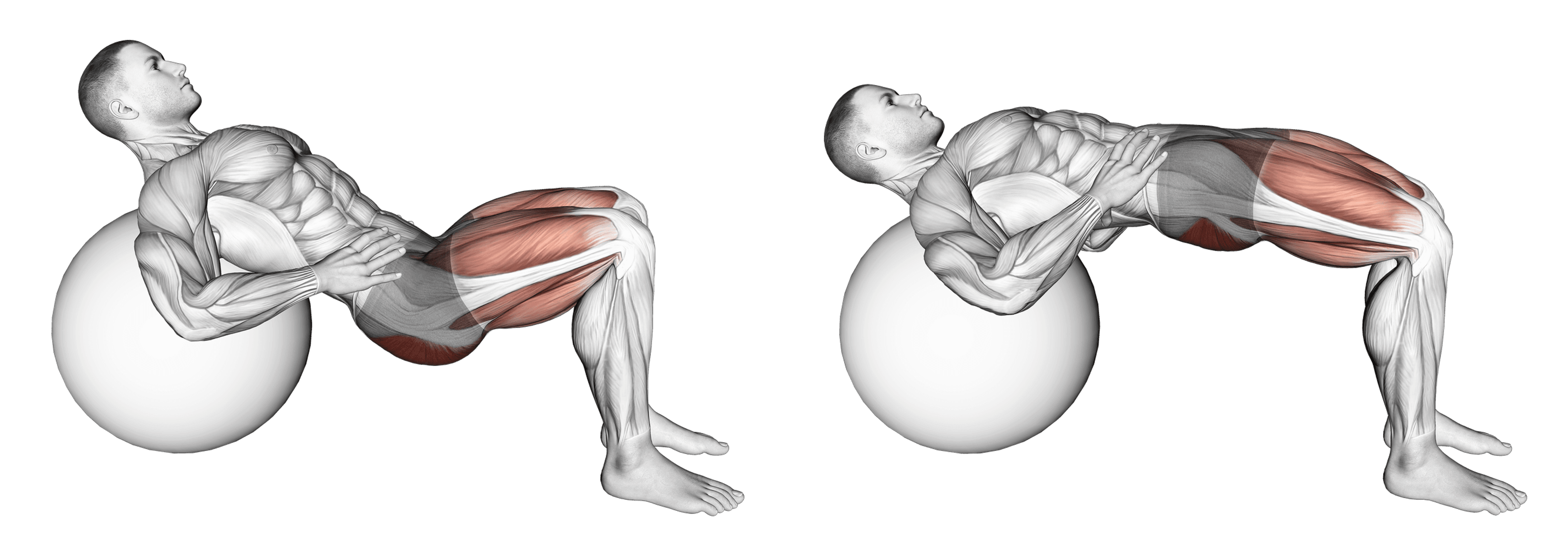 Exercise Ball Lying Hip Lift