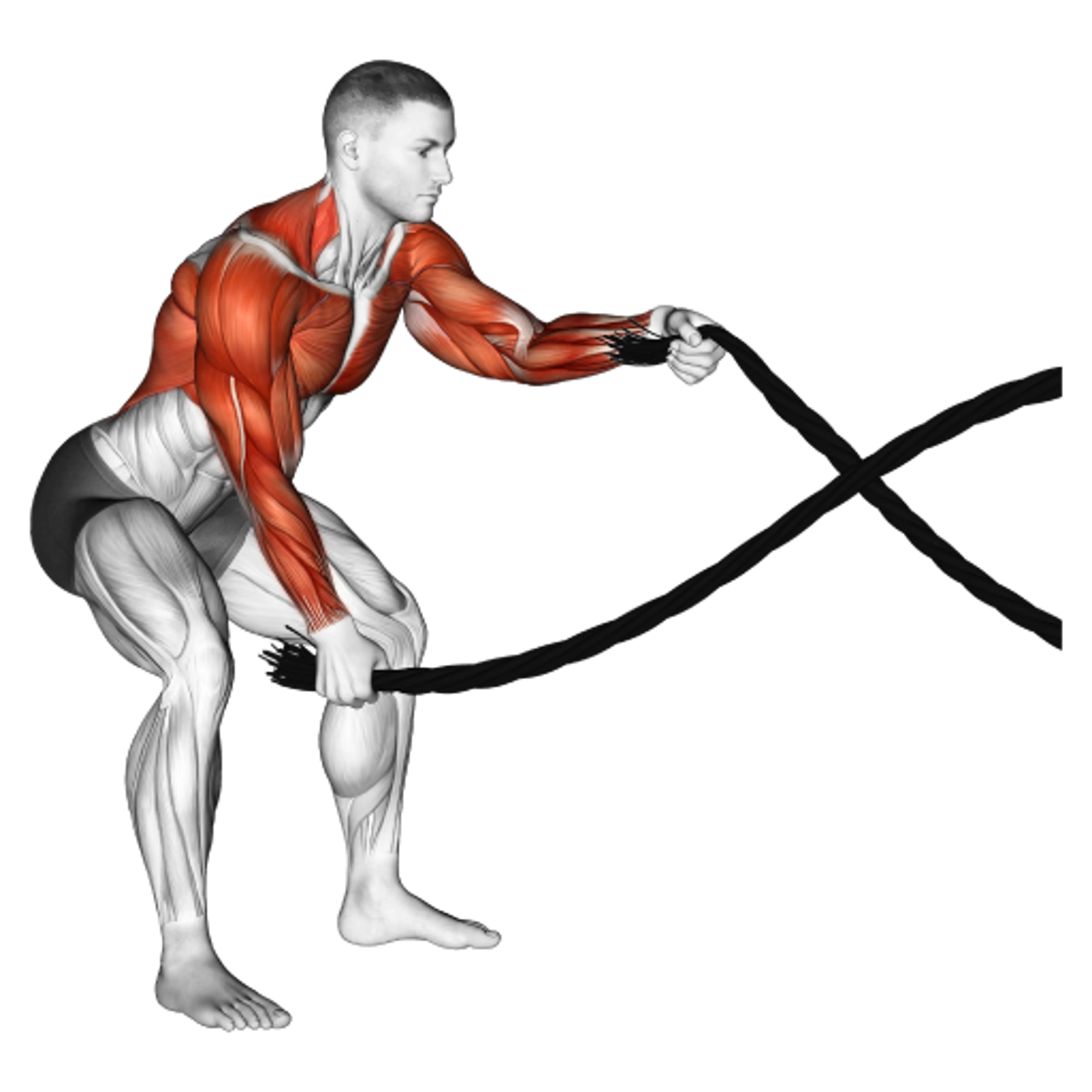 Battling Ropes