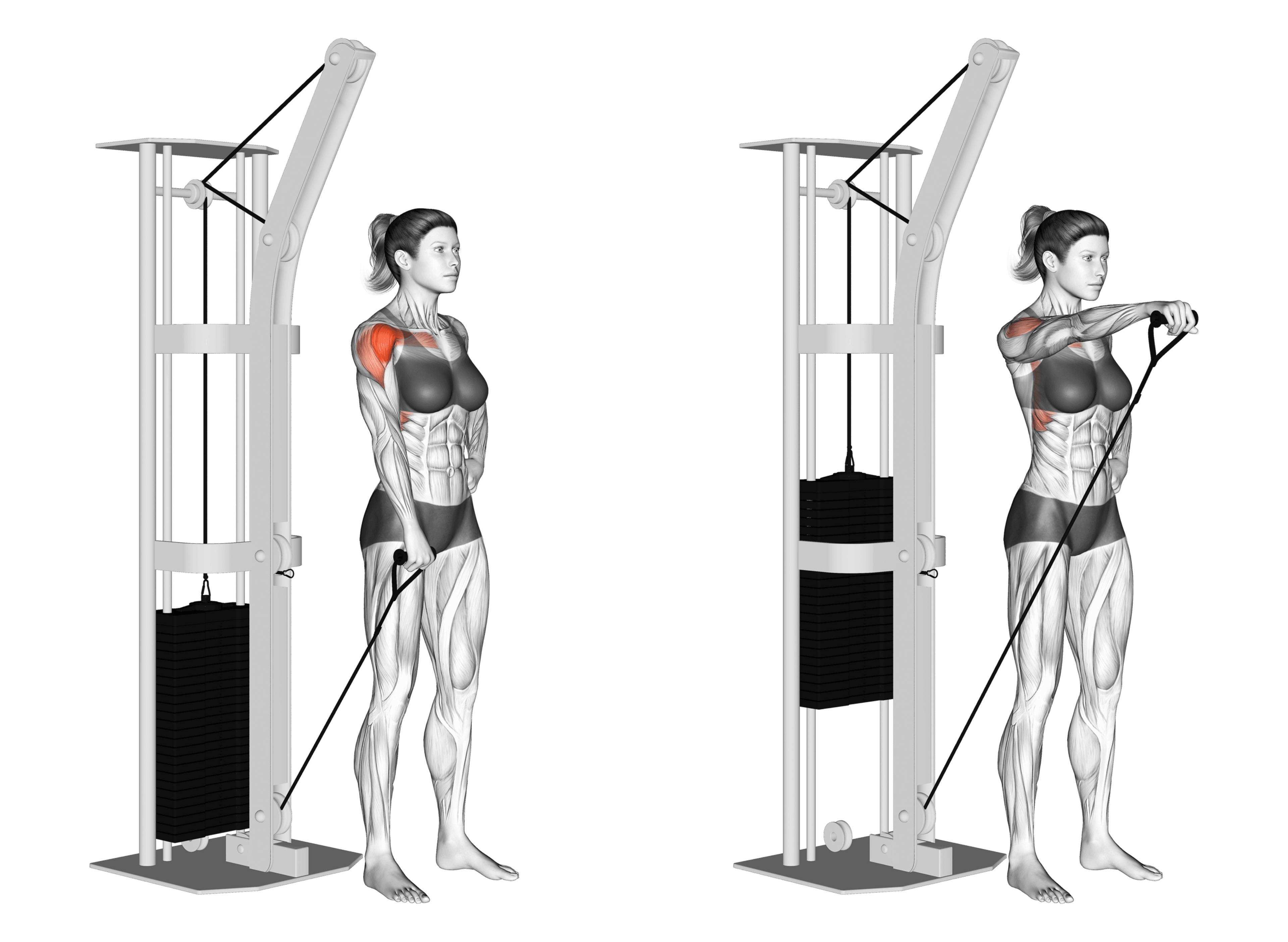 Cable Single-Arm Front Raise