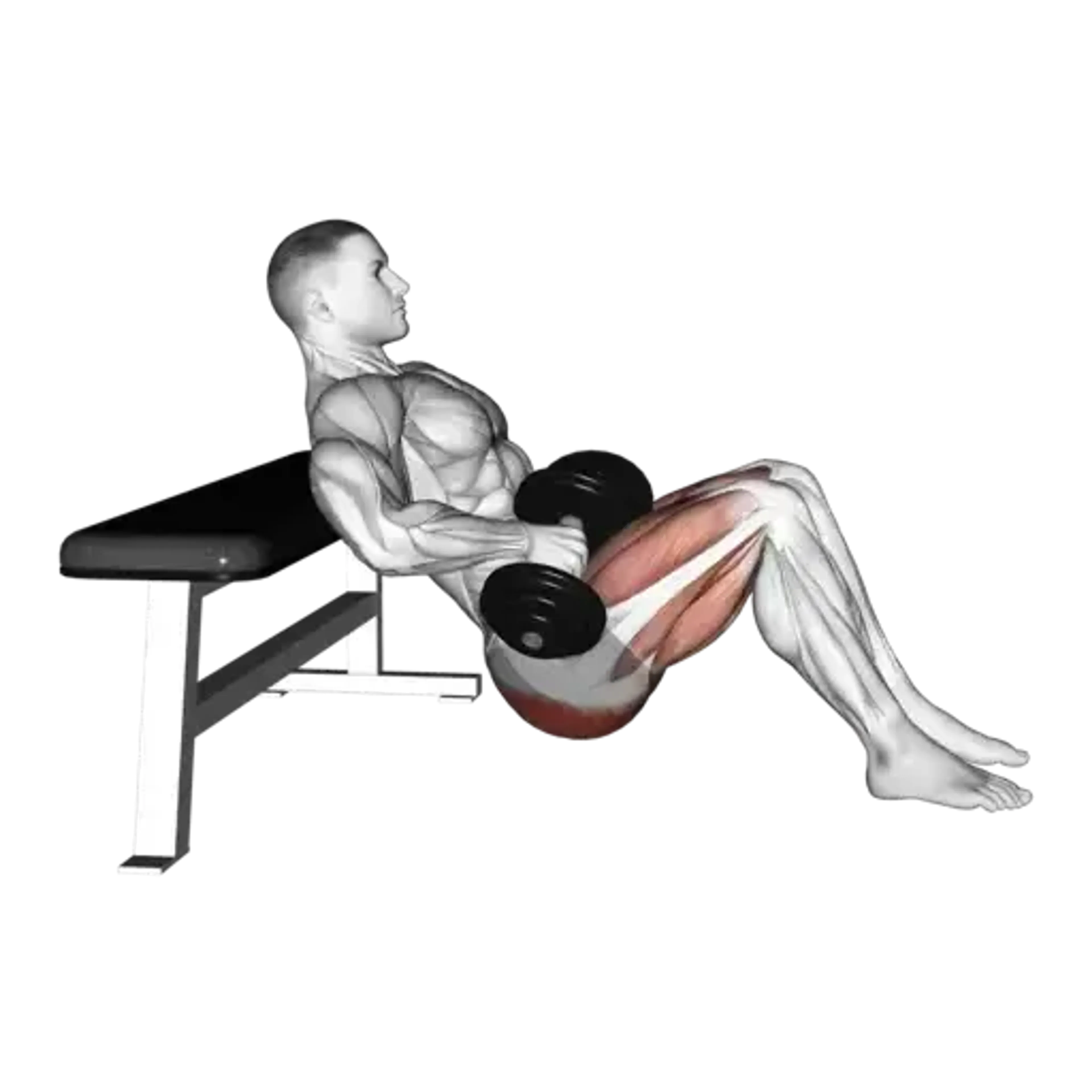Dumbbell Hip Thrust