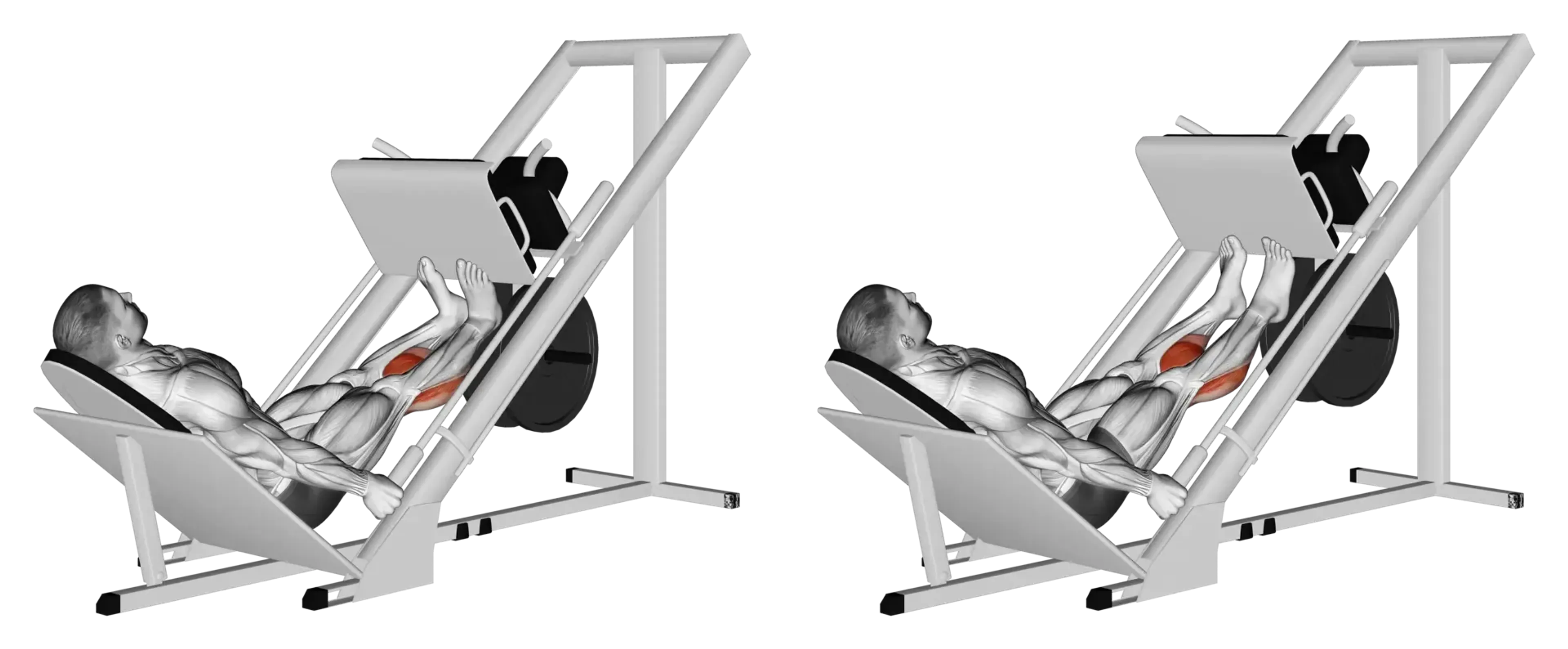 Leg Press Calf Raise