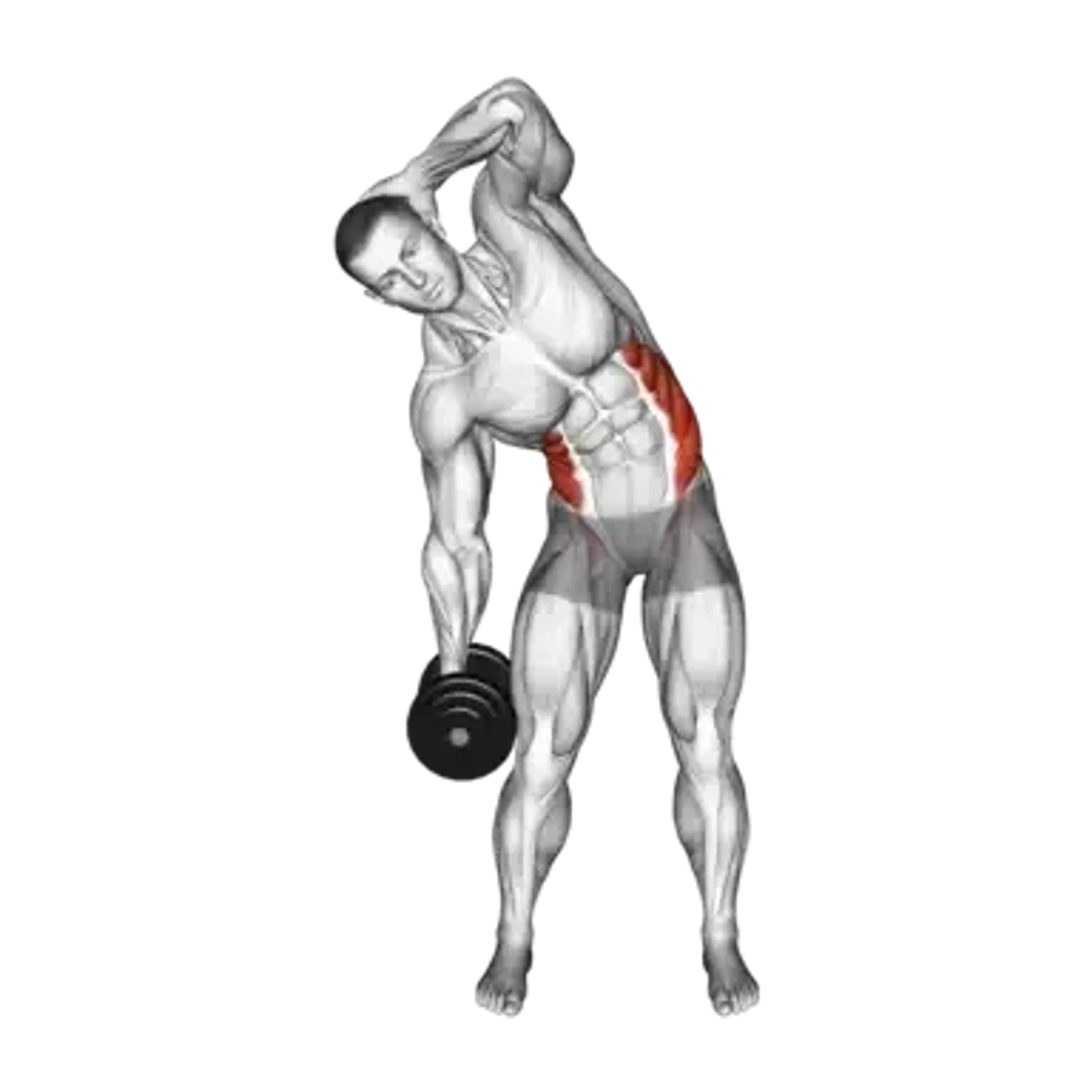 Dumbbell Side Bend