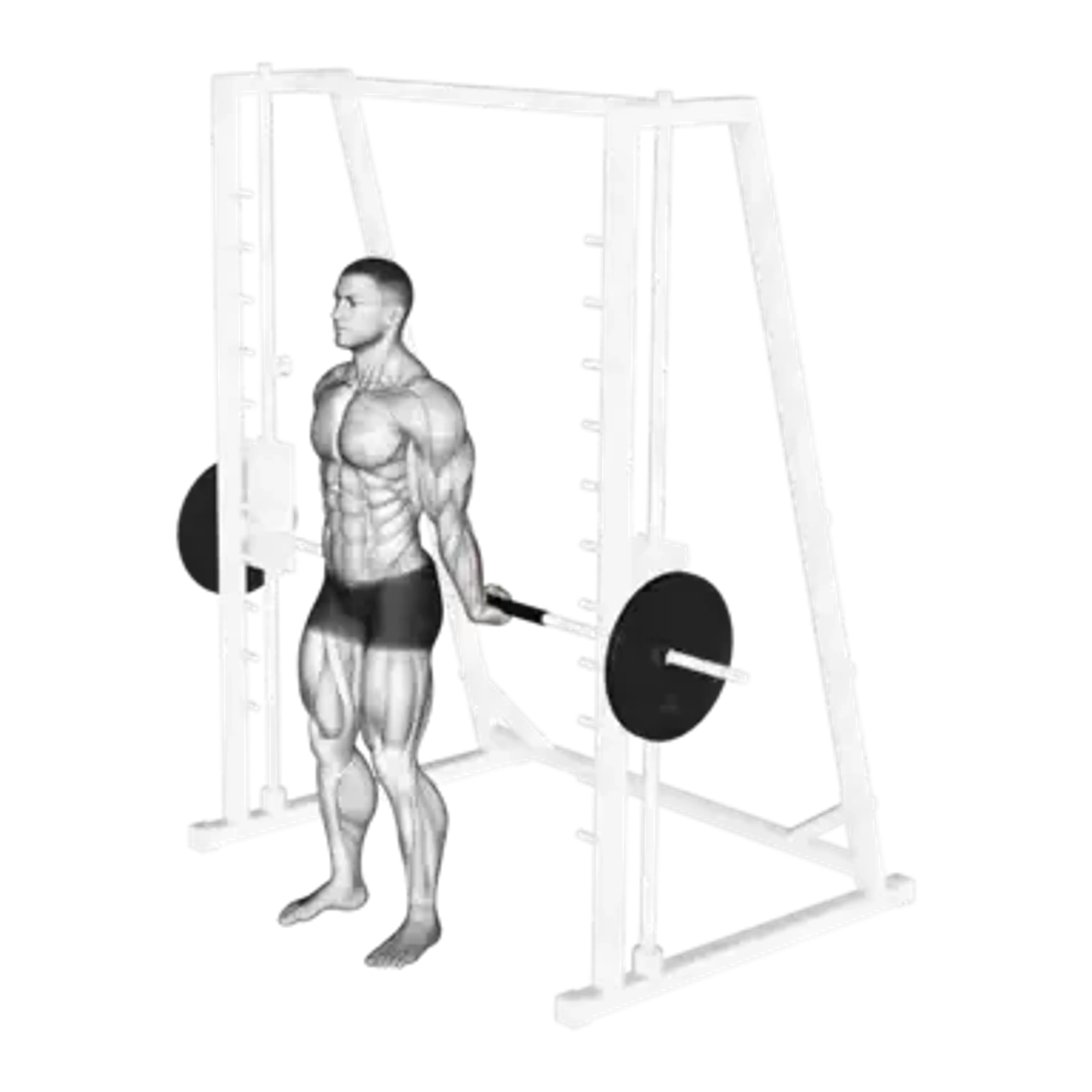 Behind the Back Smith Machine Wrist Curls