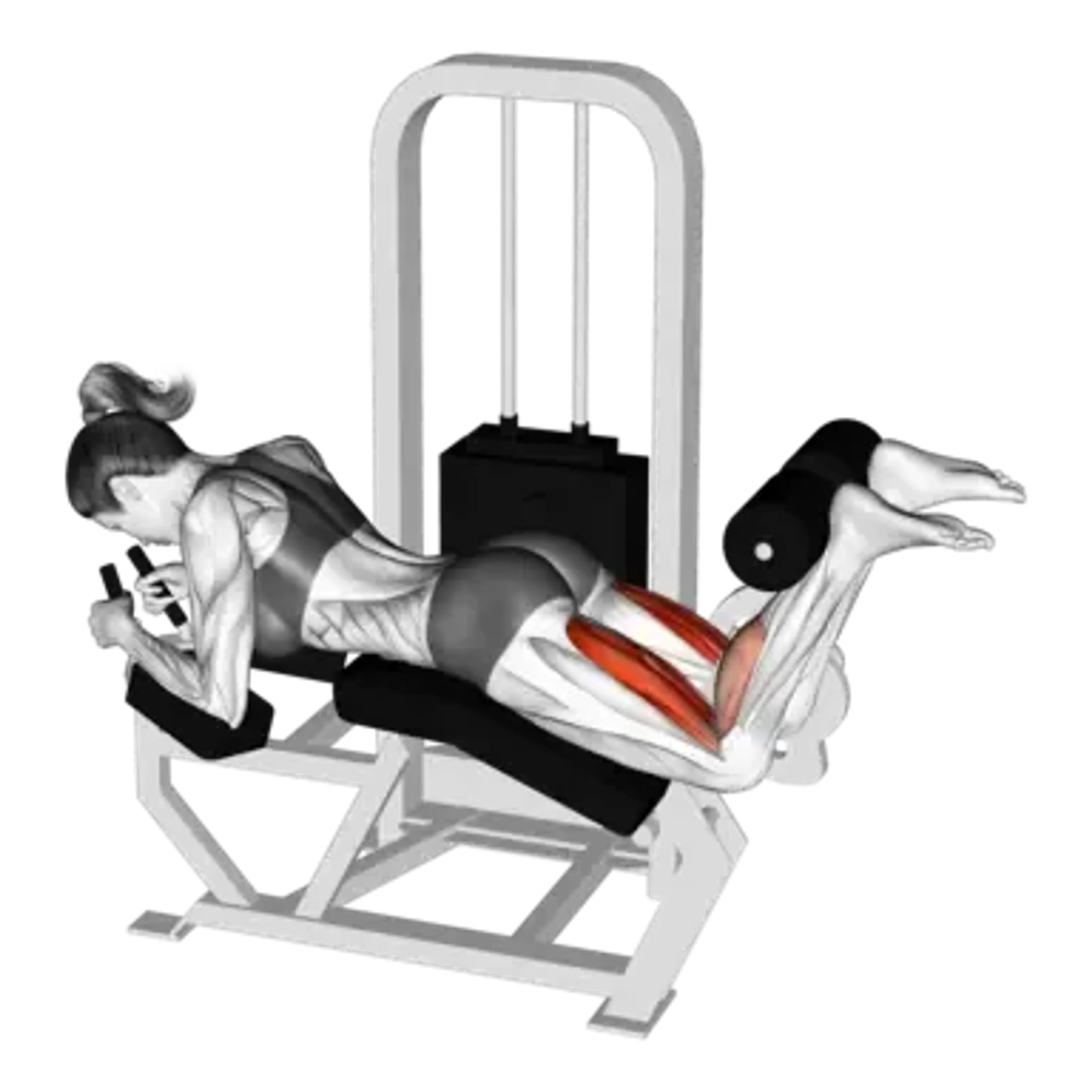 Machine Lying Leg Curl