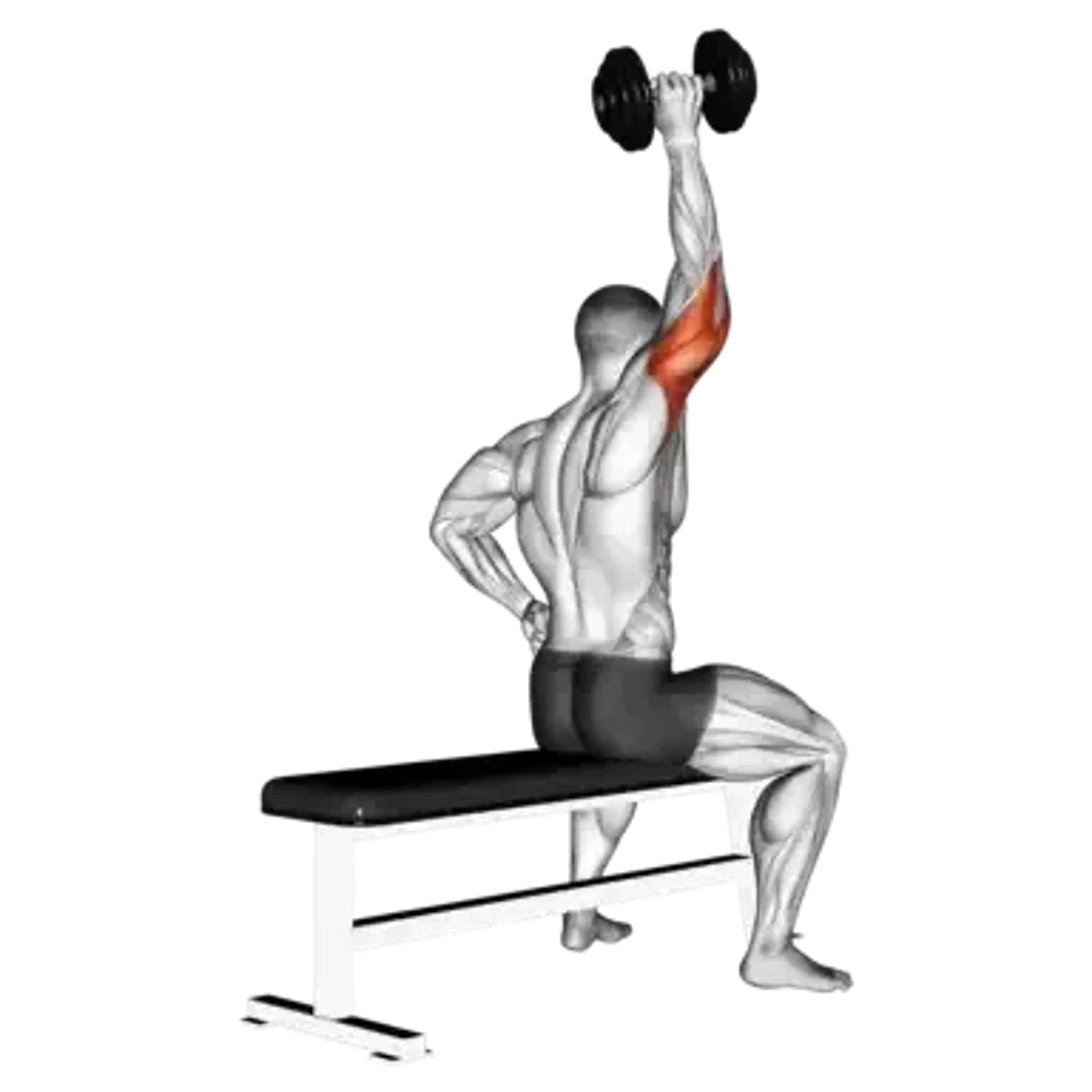 Dumbbell Seated Single-Arm Tricep Extension