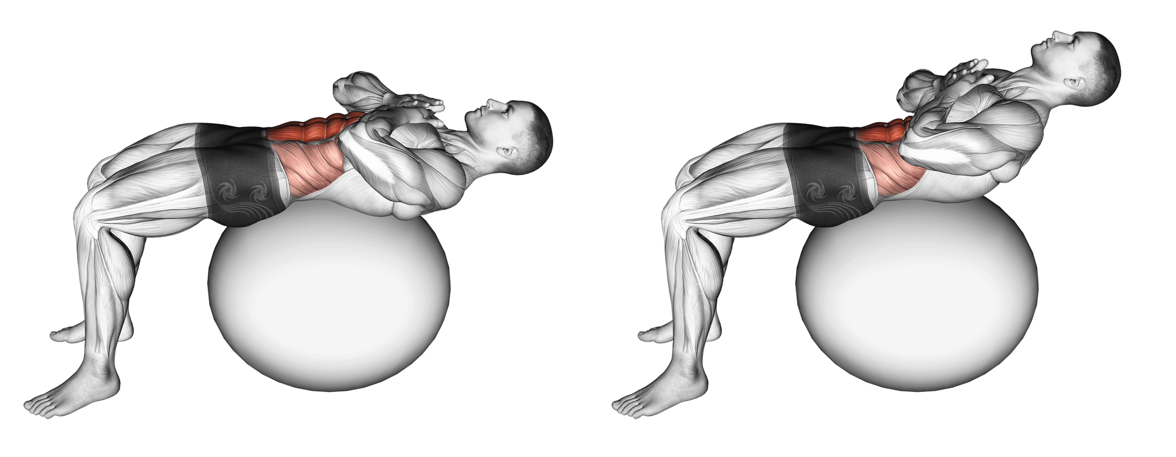 Exercise Ball Crunch