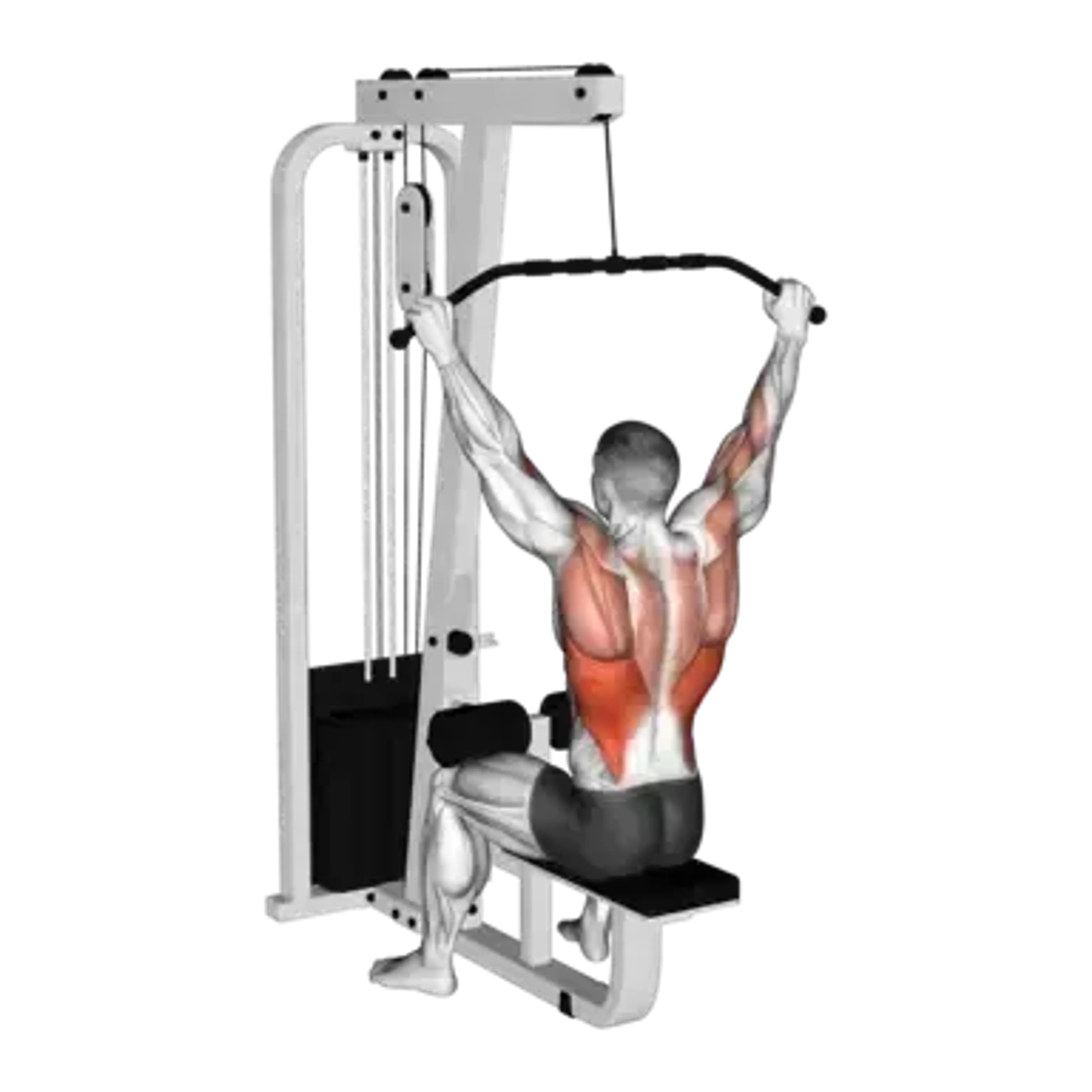 Cable Lat Pulldown (Wide Grip)