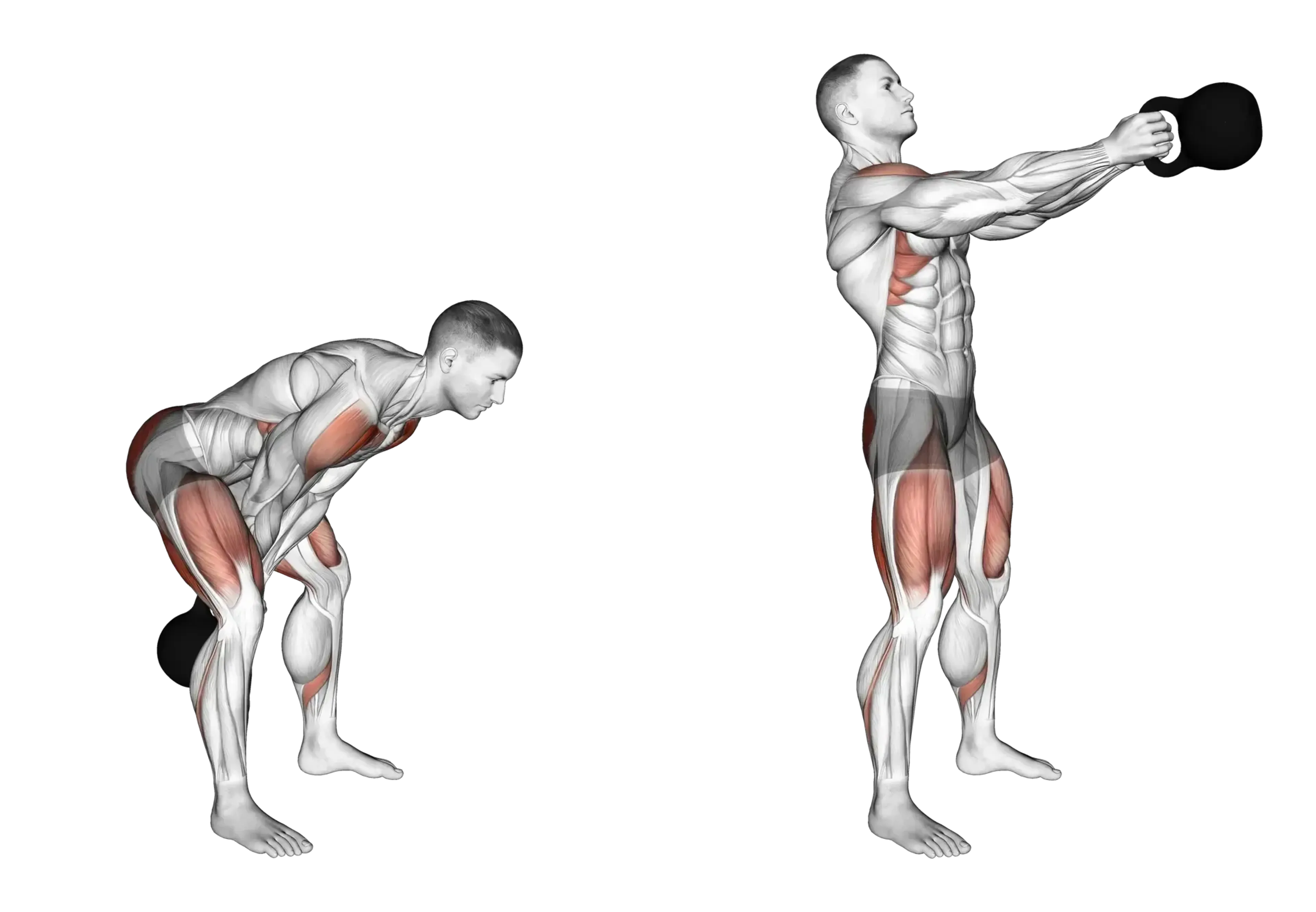 Kettlebell Swing