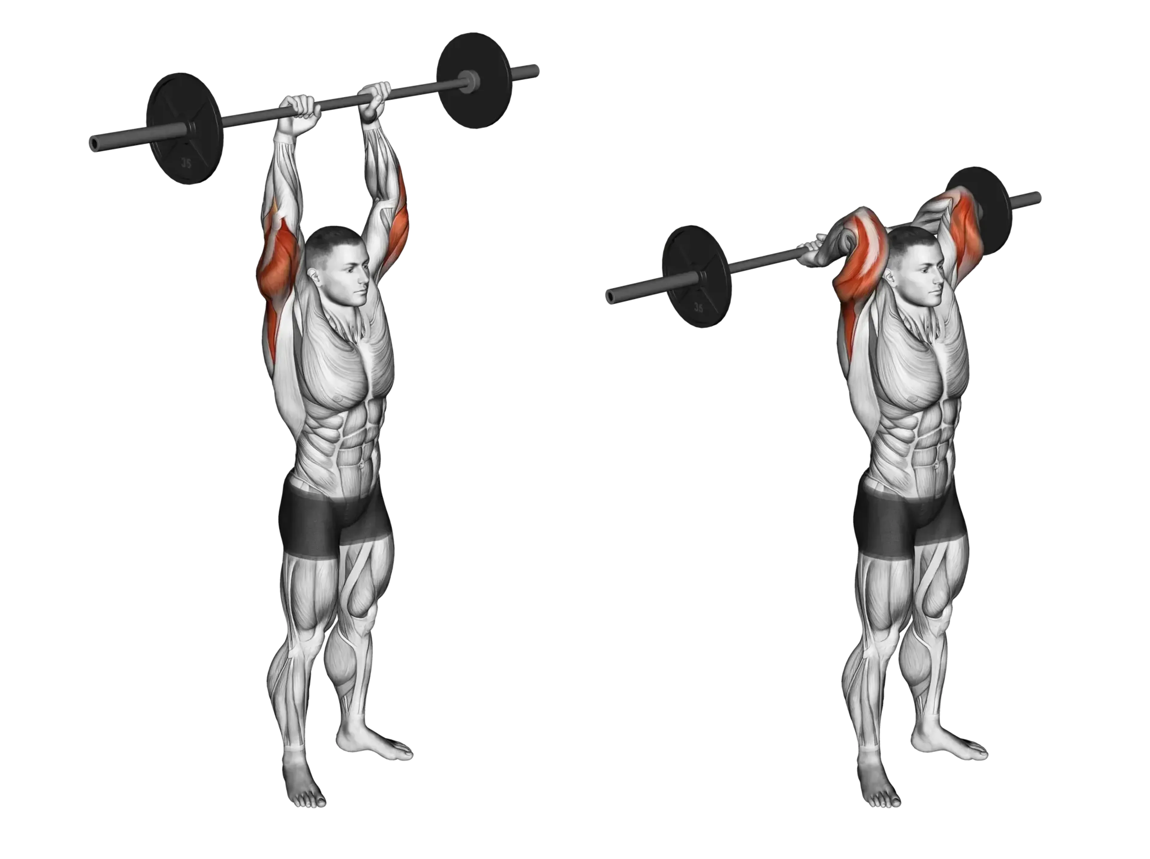 Barbell Triceps Overhead Extension