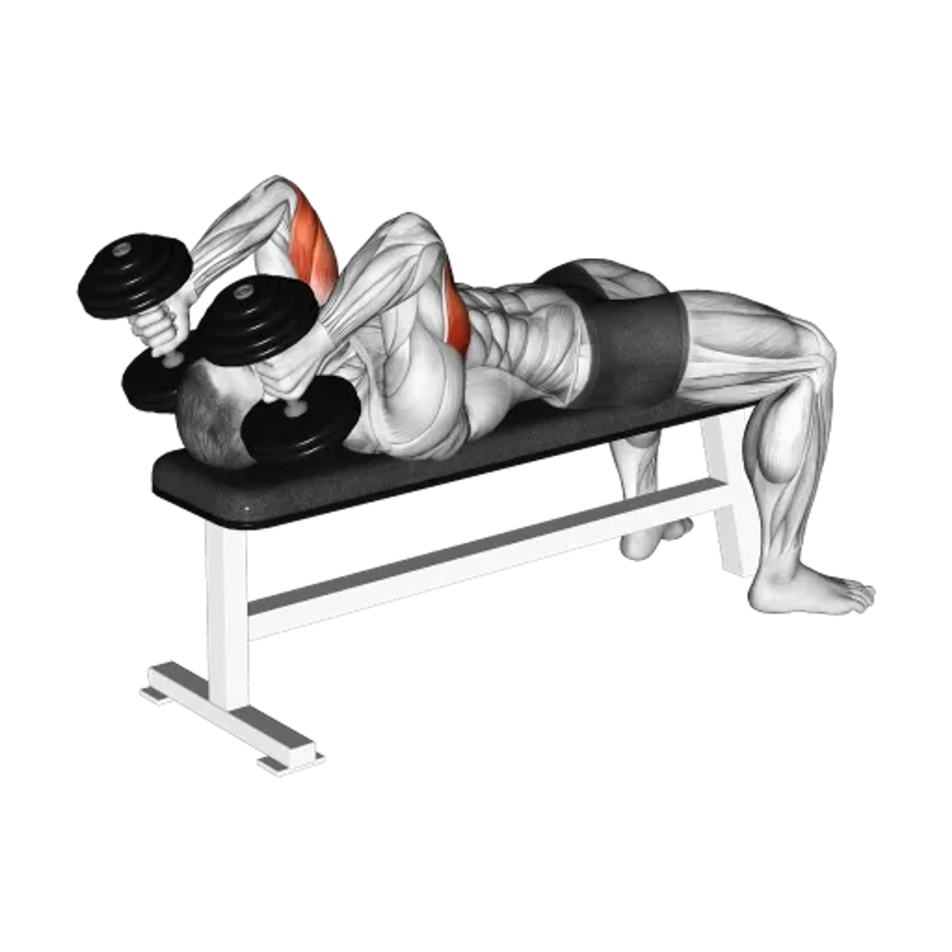 Dumbbell Lying Triceps Extension