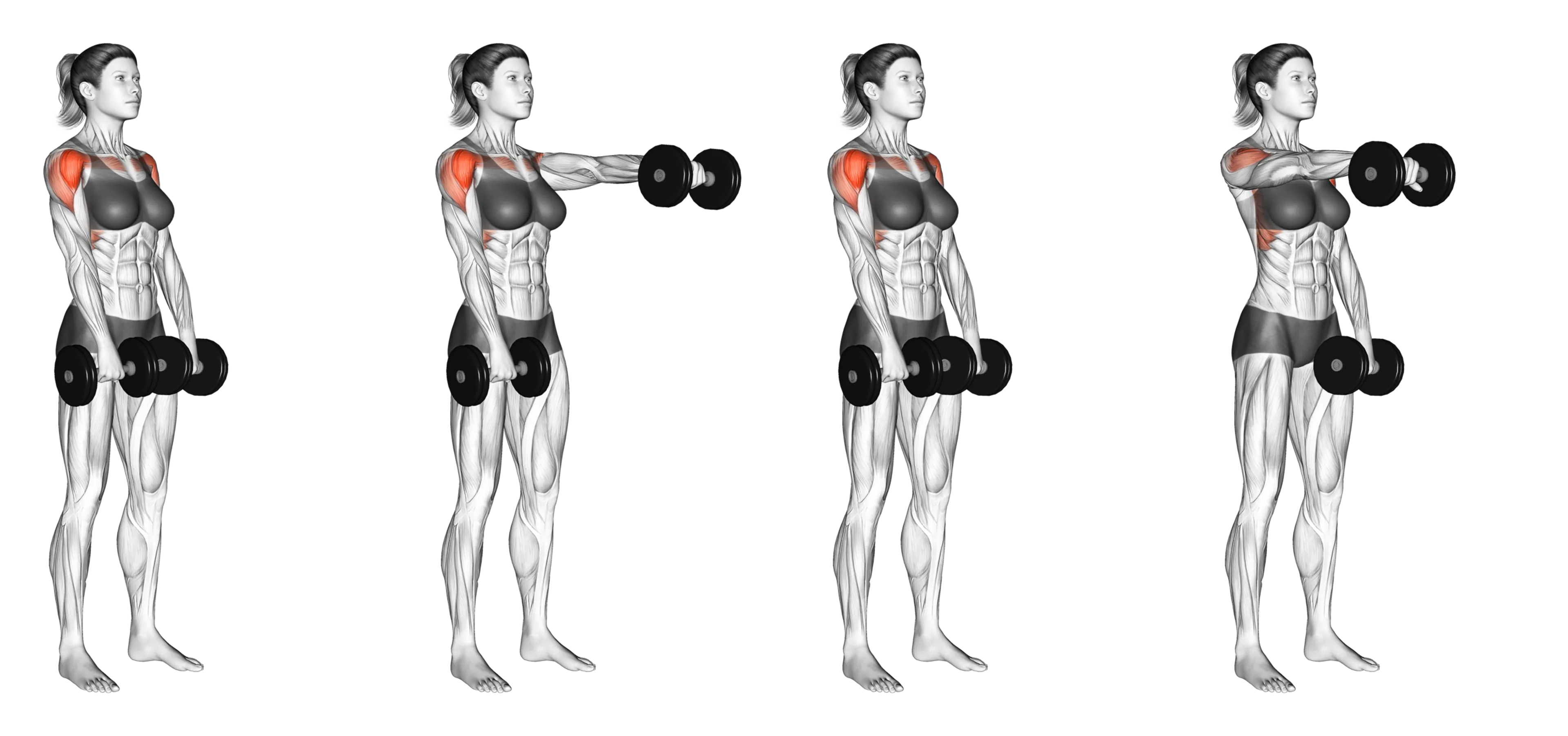 Alternating Dumbbell Front Raise