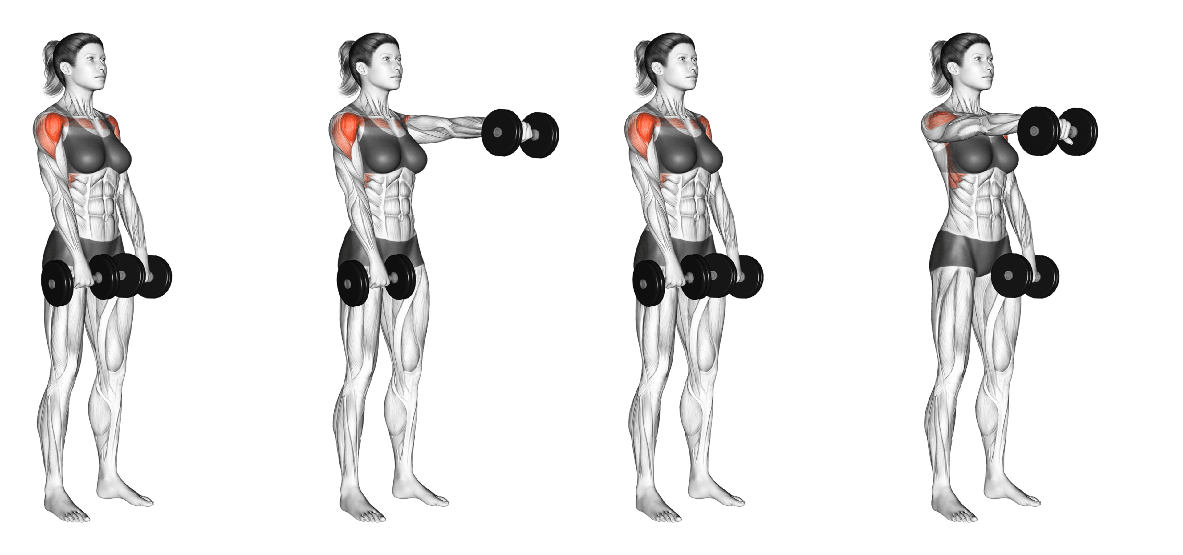 Alternating Dumbbell Front Raise