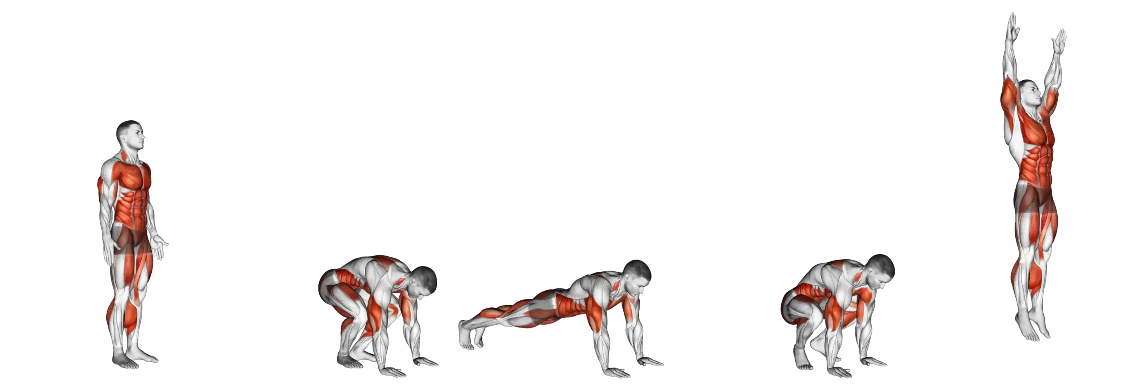 Burpee Guide Muscles Worked Tips Athlemove Burpee Guide Muscles Worked Tips Athlemove