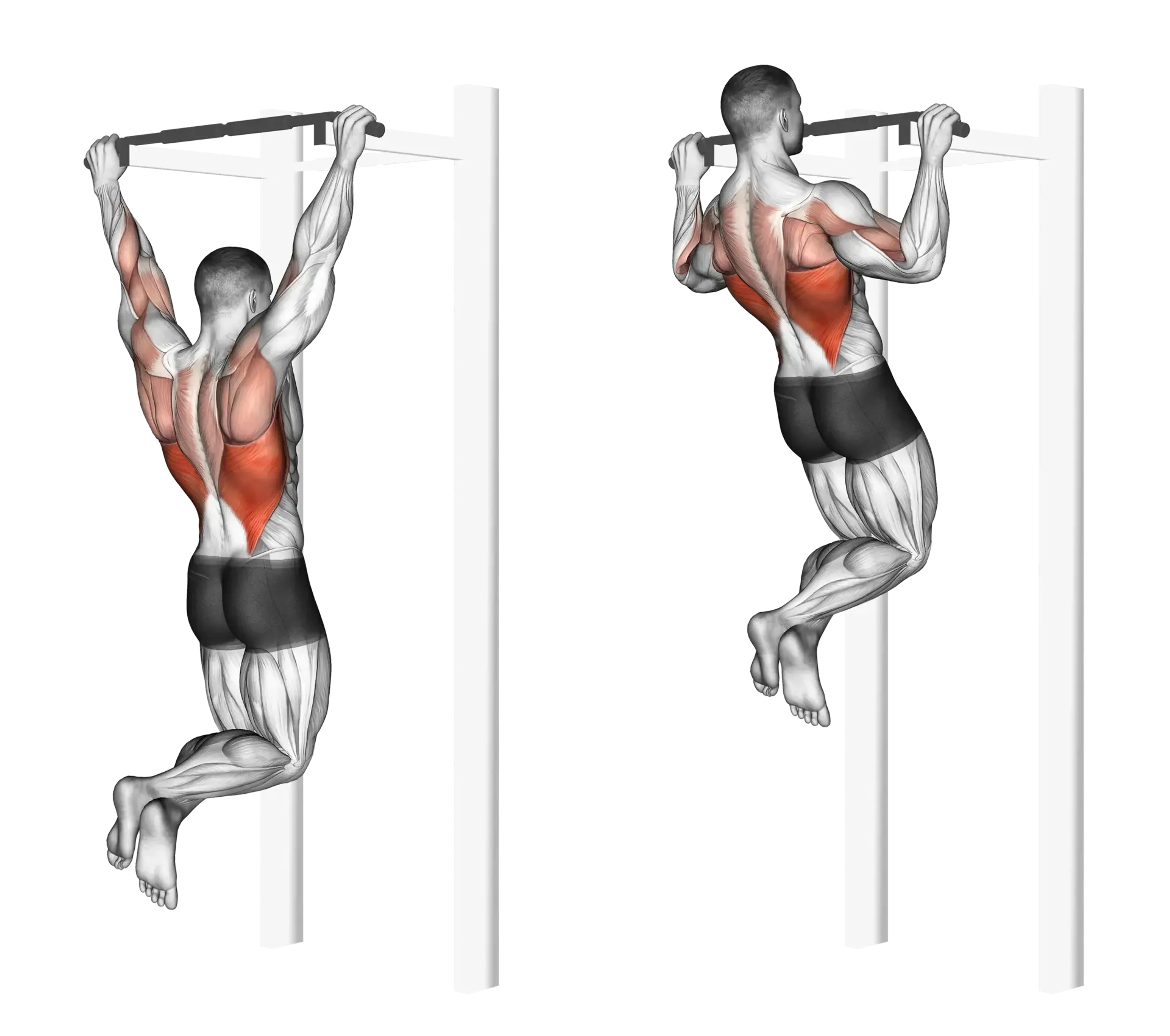 Pull-Up