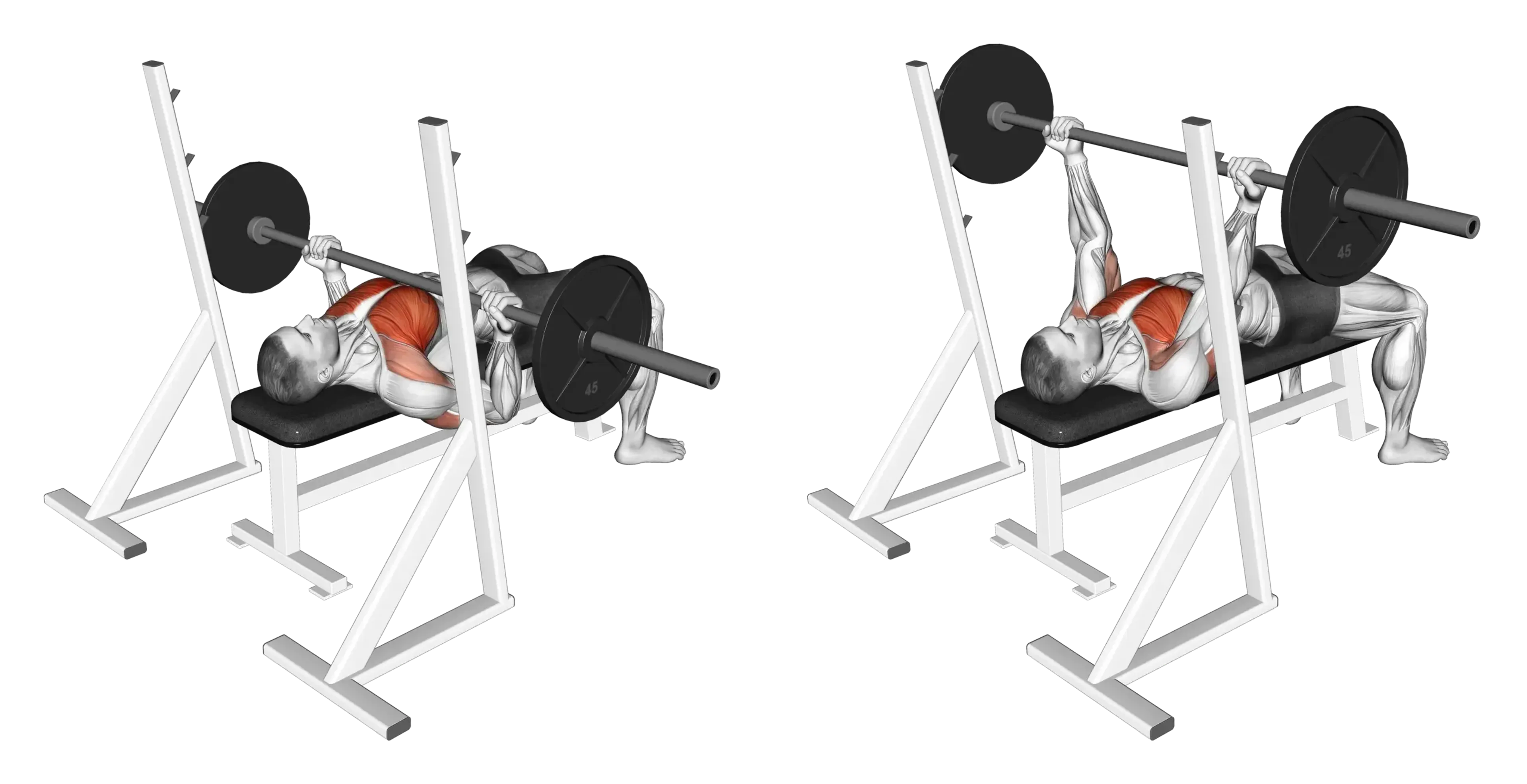 Barbell Bench Press (Reverse Grip)