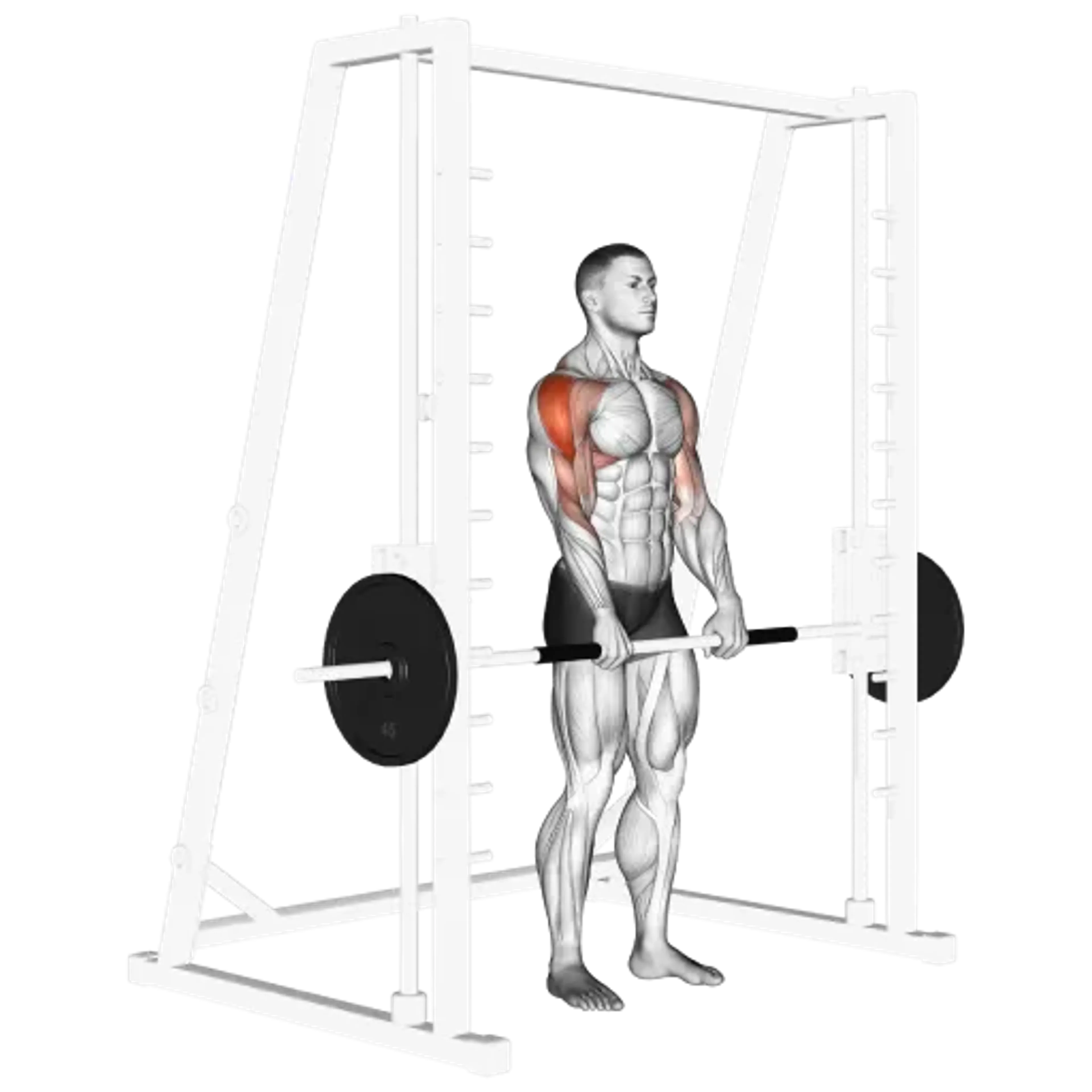 Smith Machine Upright Row