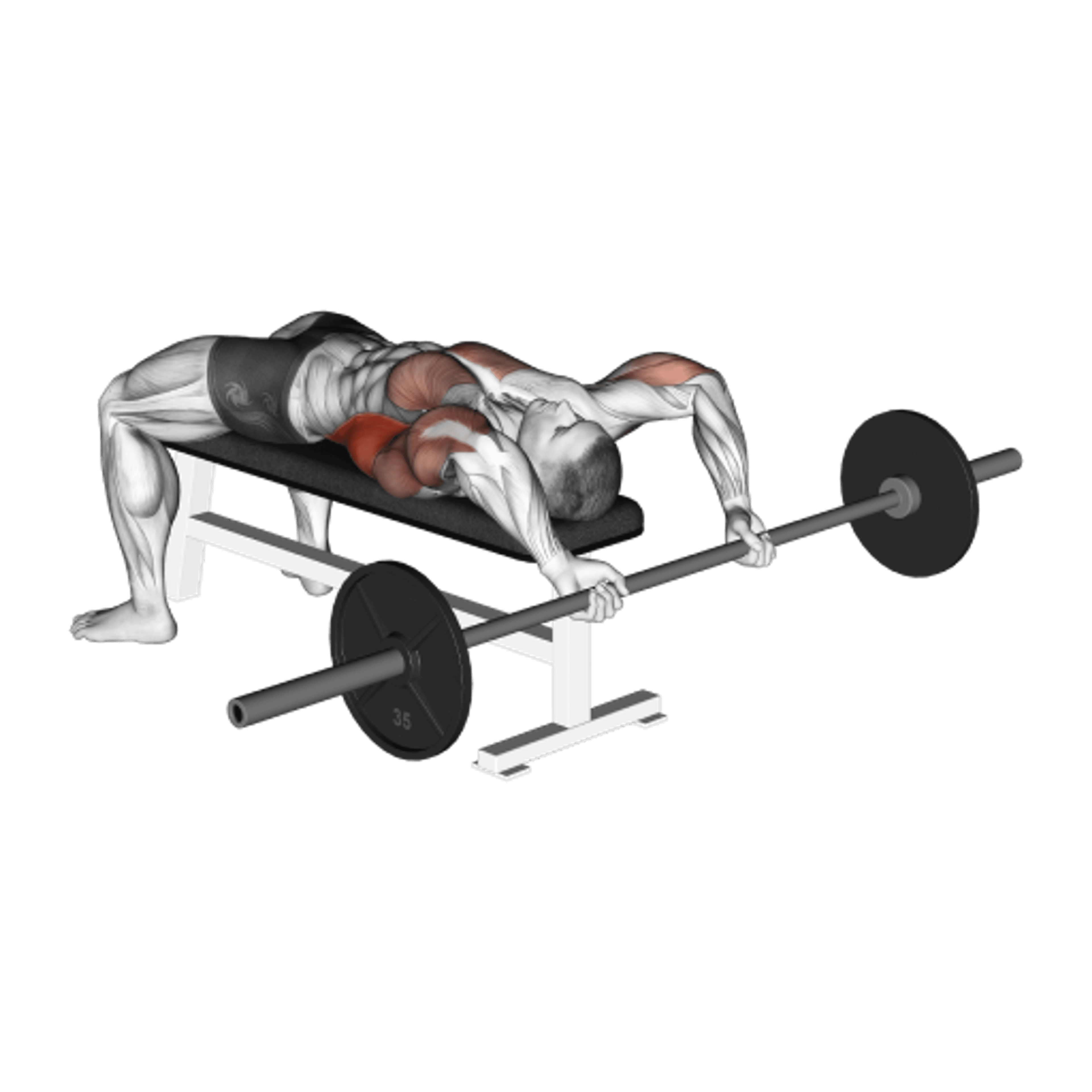 Barbell Pullover