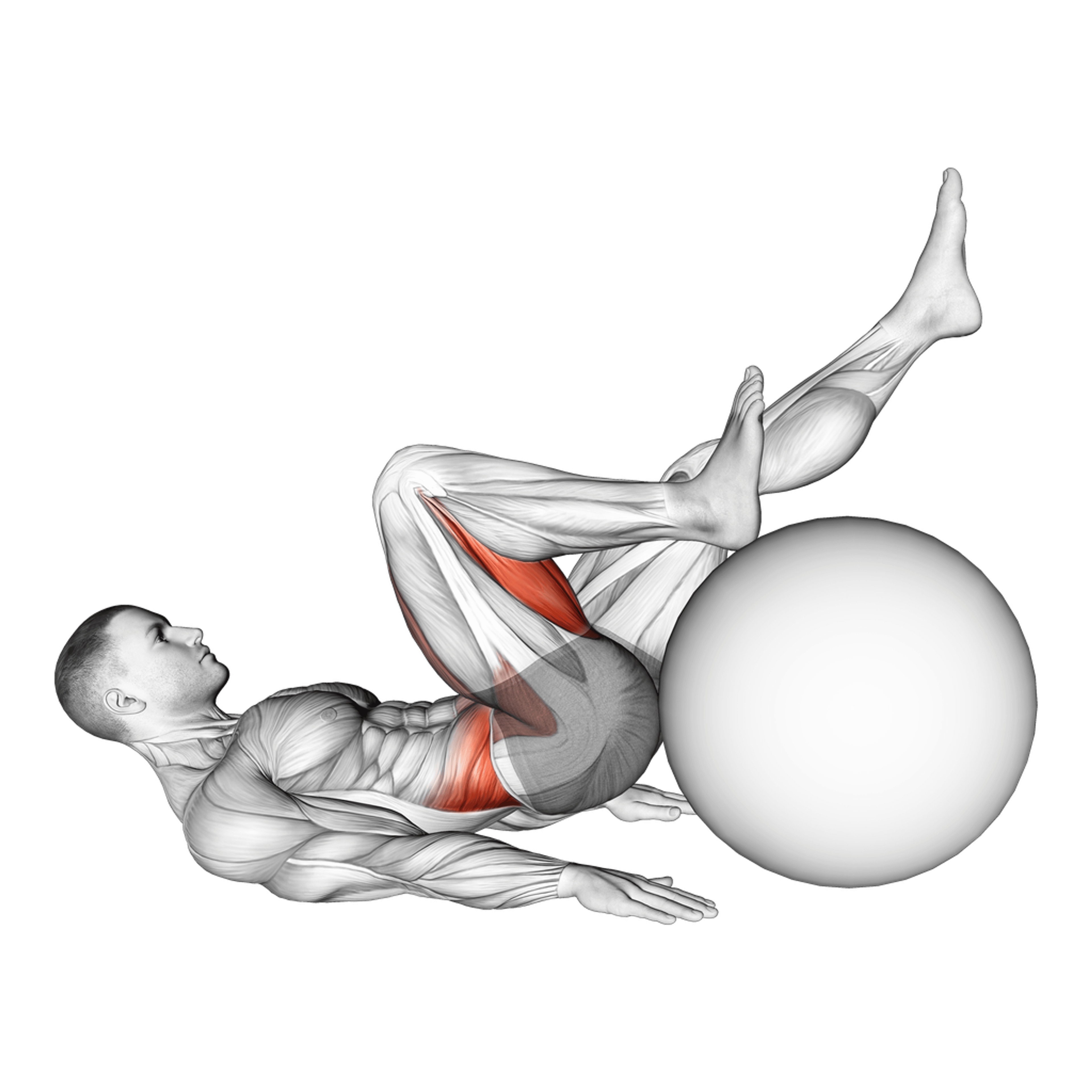 Exercise Ball Single-Leg Hamstring Curl
