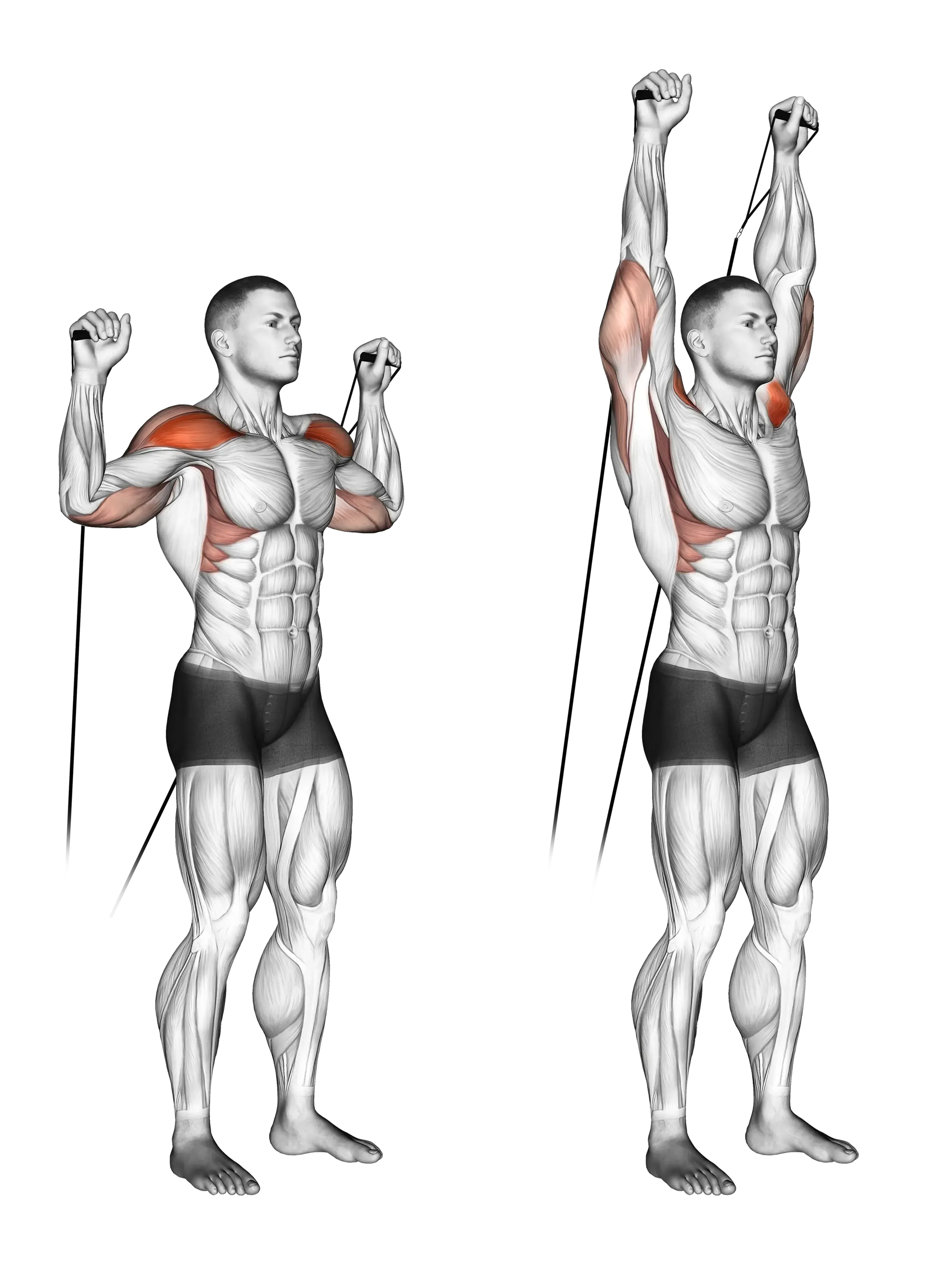Cable Standing Shoulder Press