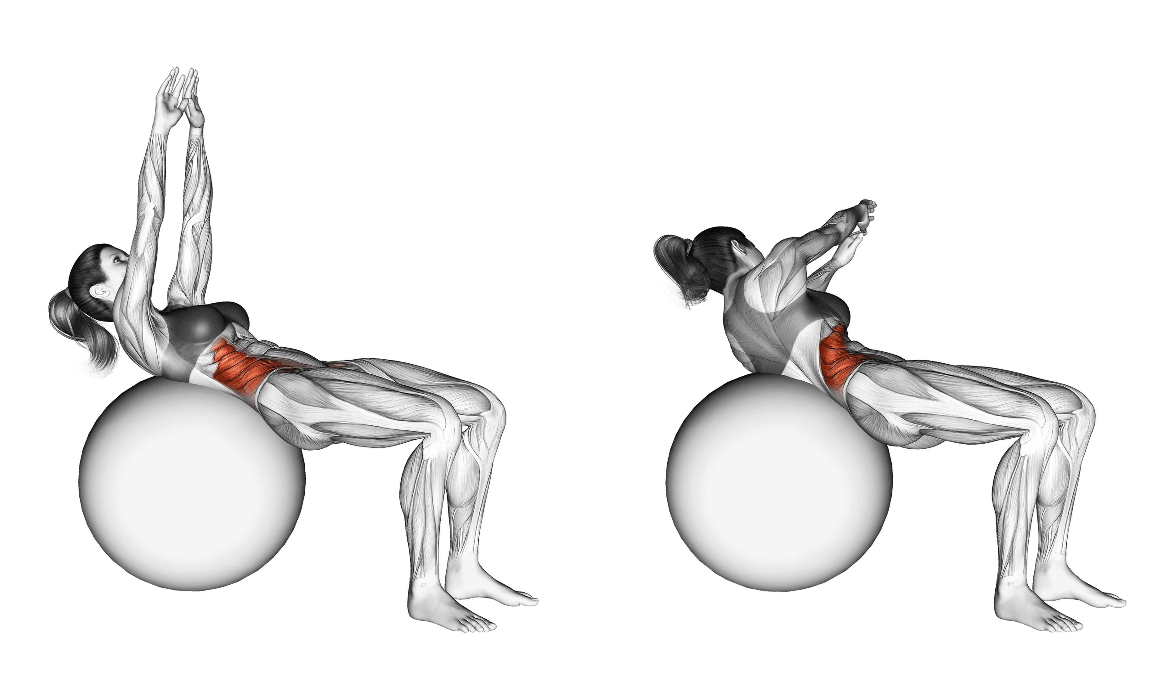 Exercise Ball Russian Twist