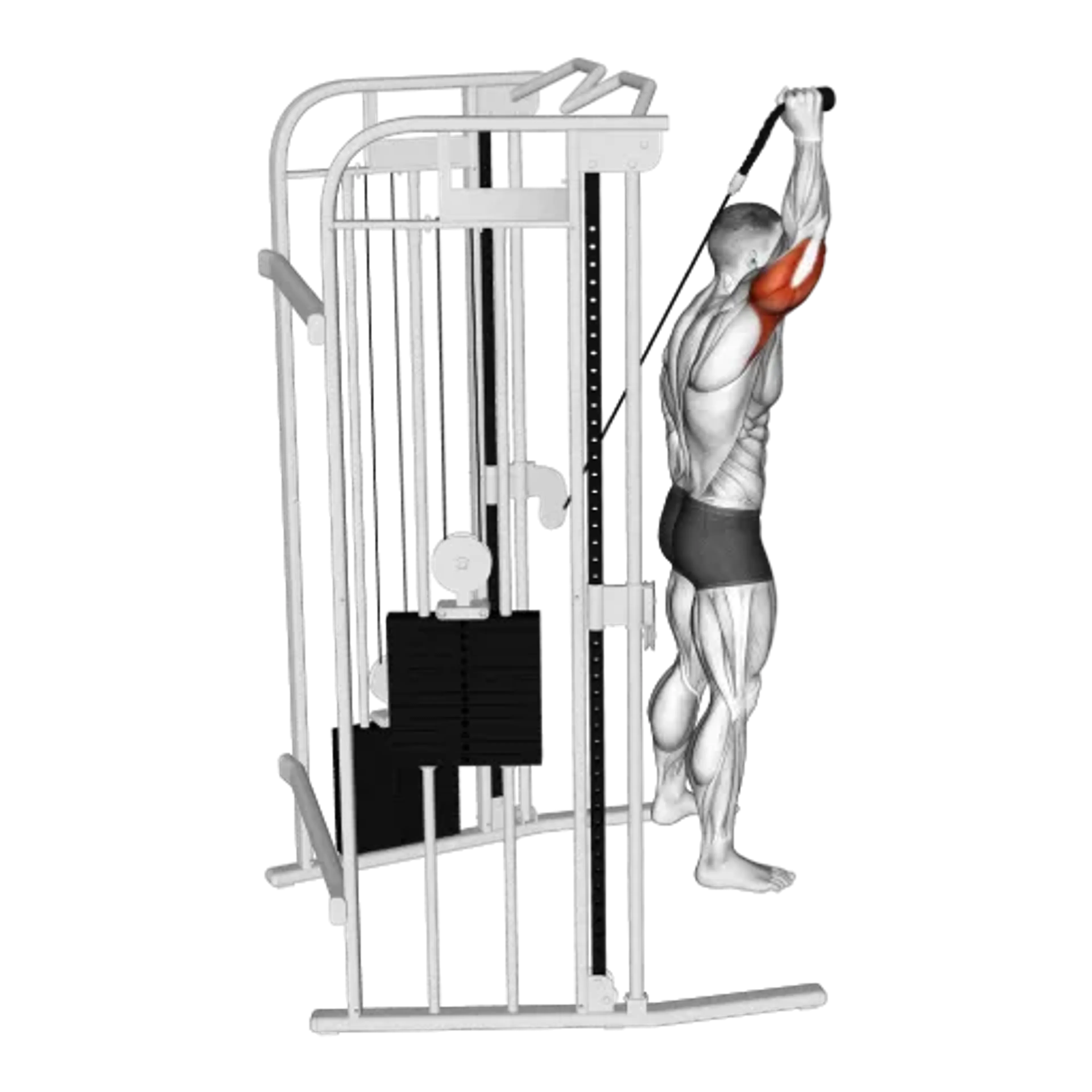 Cable Single-Arm Overhead Triceps Extension